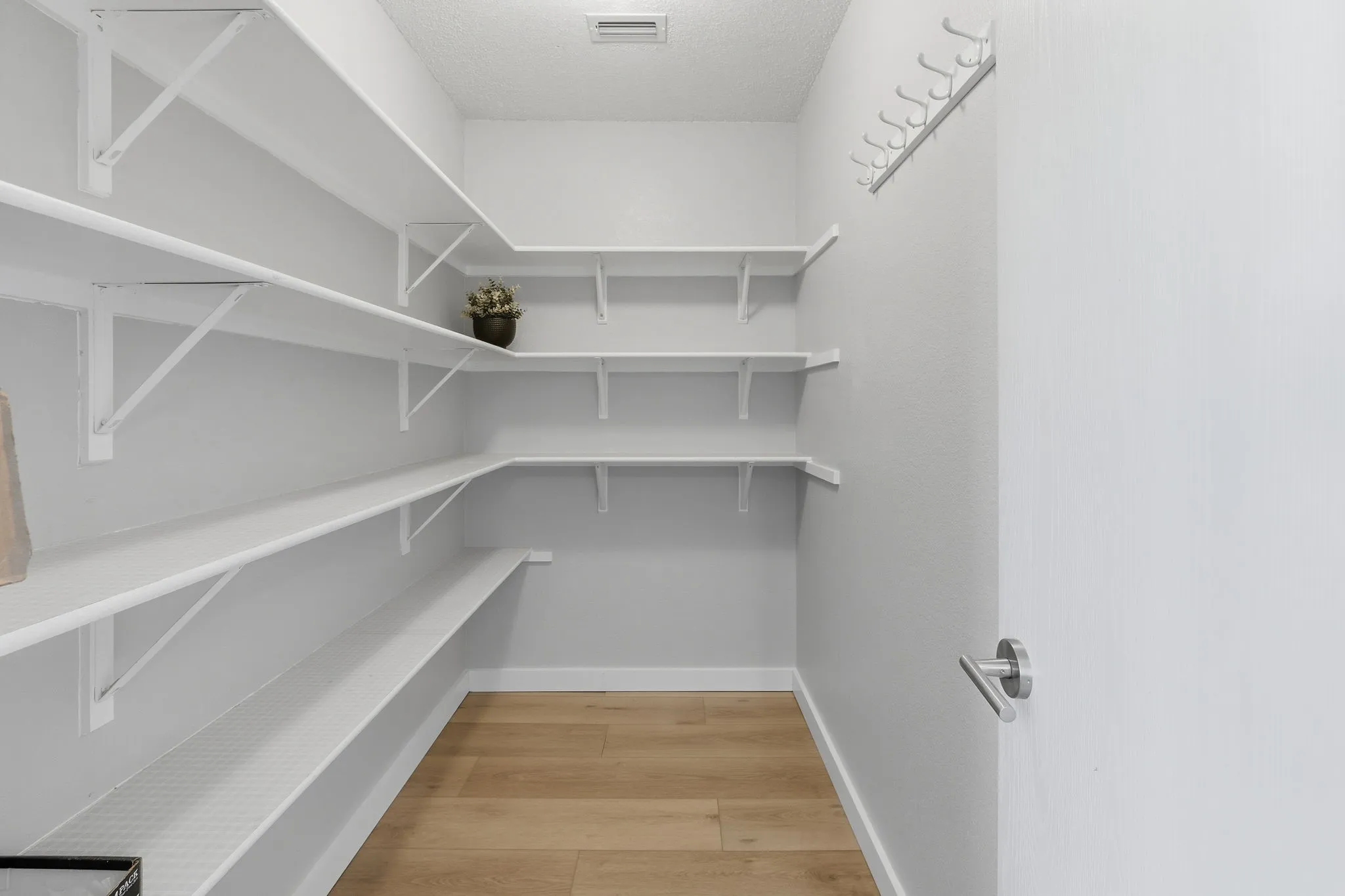 Spacious walk-in pantry provides exceptional shelving and storage just steps from the kitchen.