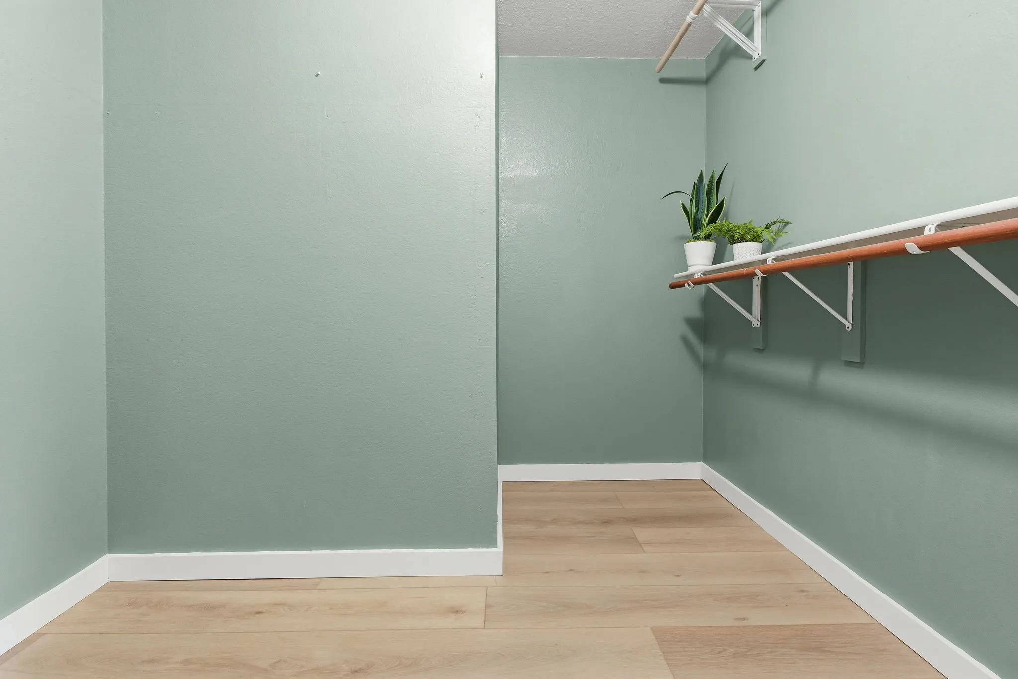 Large walk-in primary closet offers abundant hanging and storage space with room for additional organization.