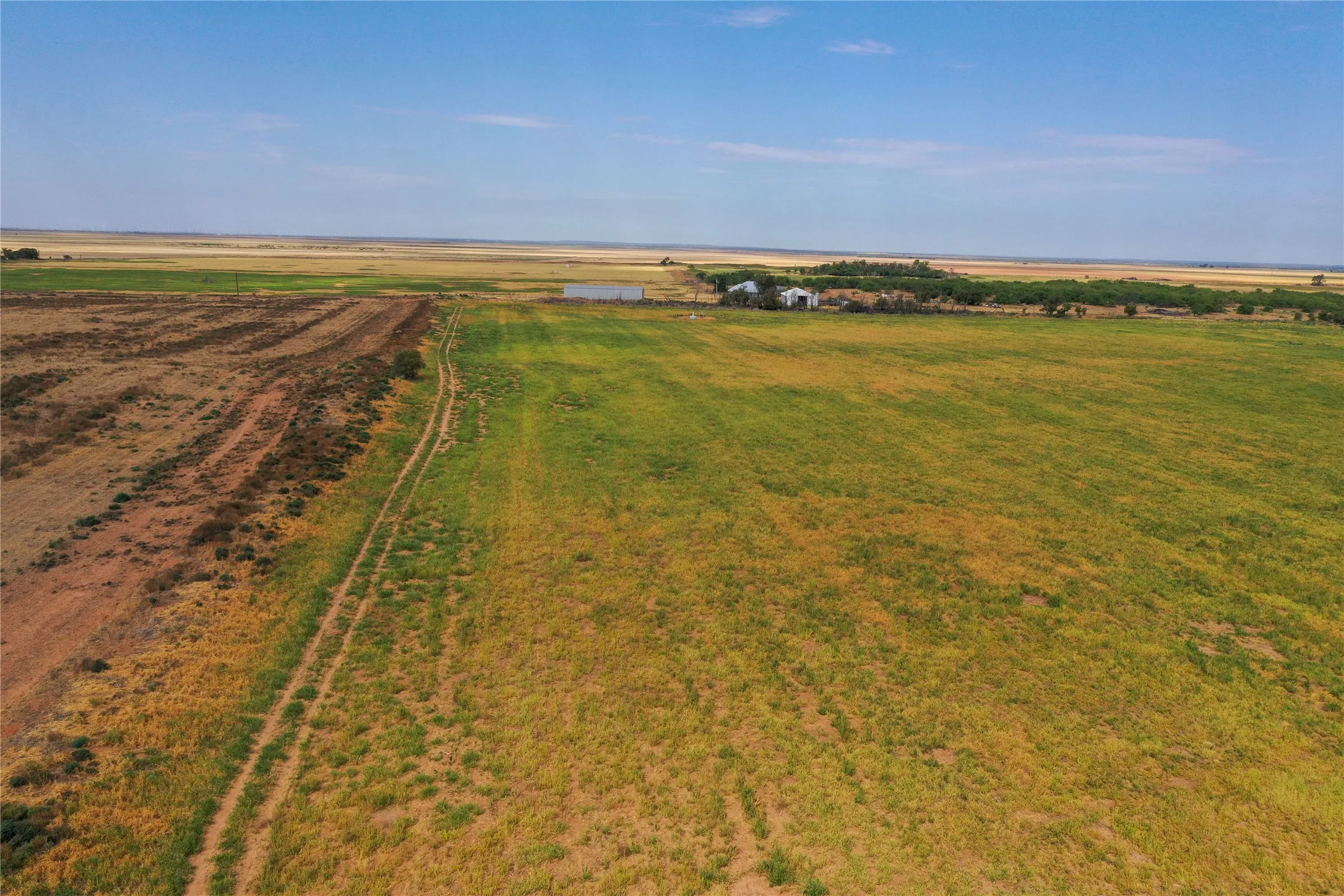 Ranch For Sale in Foard County , TBD CR 239, Crowell, Texas 79227, 0, 0, Garage spaces, 0 Sqft, built in 0, mls#21378381, Real Estate Agent in Crowell, Homes For Sale in Foard county, Homes For Sale in Crowell, Realtor in Crowell Texas, Real Estate Brokerage Independent Realty Texas, Luminita Cordes Realtor
