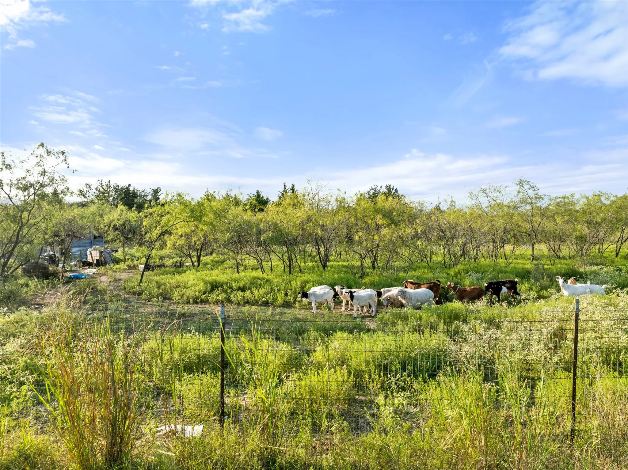 Unimproved Land For Sale in Hunt County , TBD I-30 Frontage Road, Caddo Mills, Texas 75135, 0, 0, Garage spaces, 0 Sqft, built in 0, mls#21378332, Real Estate Agent in Caddo Mills, Homes For Sale in Hunt county, Homes For Sale in Caddo Mills, Realtor in Caddo Mills Texas, Real Estate Brokerage Independent Realty Texas, Luminita Cordes Realtor