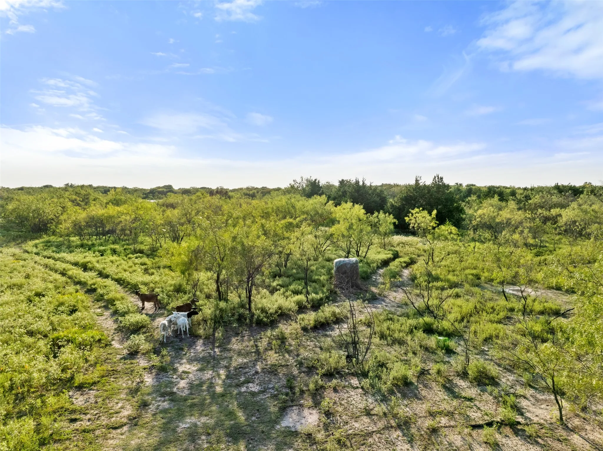 Unimproved Land For Sale in Hunt County , TBD I-30 Frontage Road, Caddo Mills, Texas 75135, 0, 0, Garage spaces, 0 Sqft, built in 0, mls#21378332, Real Estate Agent in Caddo Mills, Homes For Sale in Hunt county, Homes For Sale in Caddo Mills, Realtor in Caddo Mills Texas, Real Estate Brokerage Independent Realty Texas, Luminita Cordes Realtor