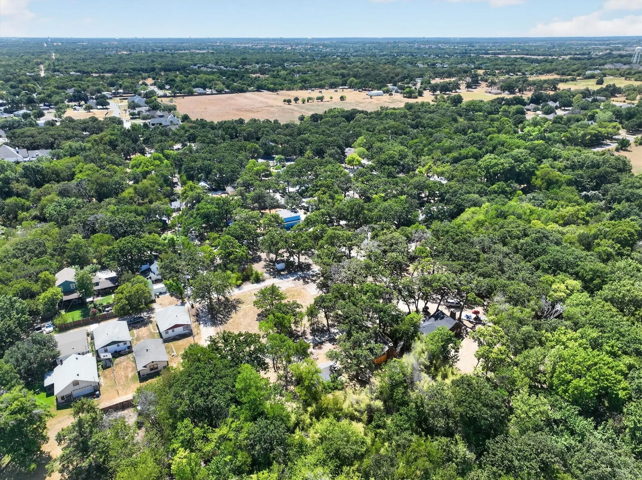 Expansive surrounding tree canopy