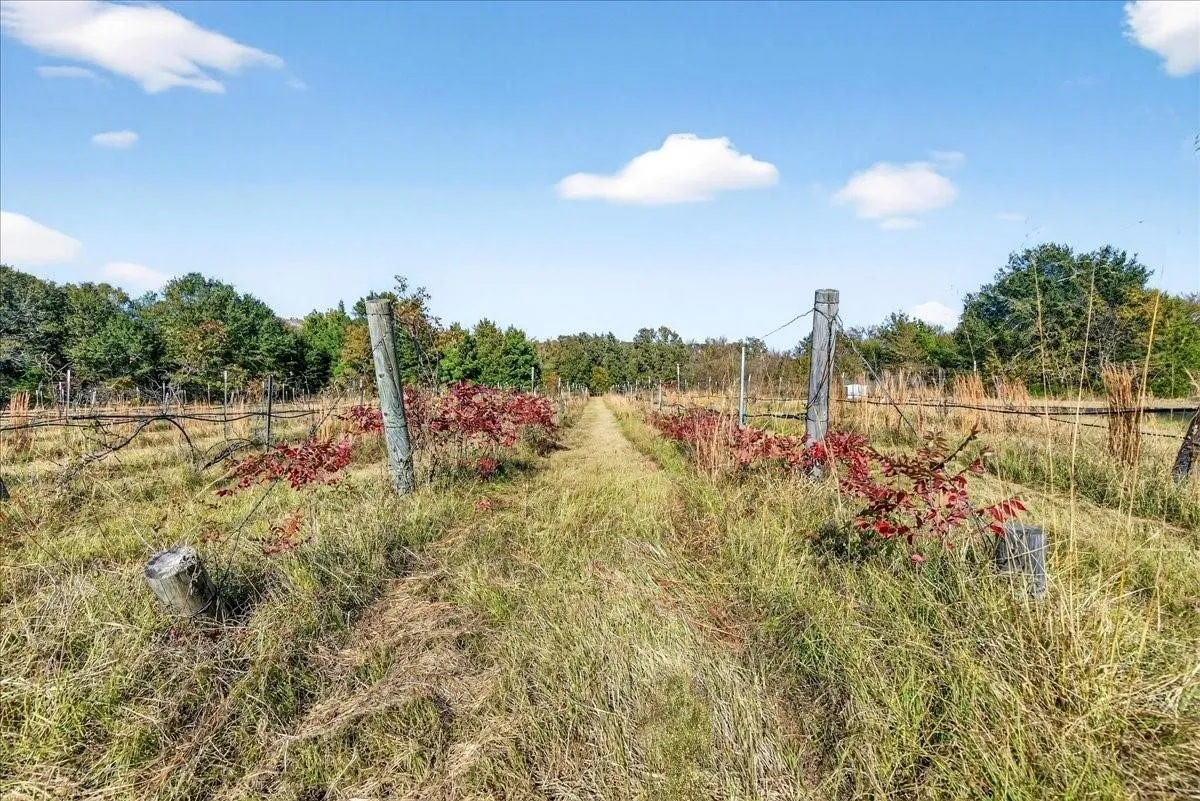 Single Family Residence For Sale in Van Zandt County , 1603 VZ CR 2908, Eustace, Texas 75124, 2 Bedroom, 1 Bathroom, Garage spaces, 1,280 Sqft, built in 2012, mls#21378416, Real Estate Agent in Eustace, Homes For Sale in Van Zandt county, Homes For Sale in Eustace, Realtor in Eustace Texas, Real Estate Brokerage Independent Realty Texas, Luminita Cordes Realtor