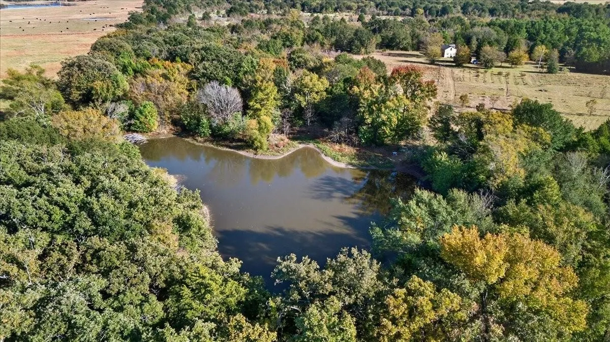 Single Family Residence For Sale in Van Zandt County , 1603 VZ CR 2908, Eustace, Texas 75124, 2 Bedroom, 1 Bathroom, Garage spaces, 1,280 Sqft, built in 2012, mls#21378416, Real Estate Agent in Eustace, Homes For Sale in Van Zandt county, Homes For Sale in Eustace, Realtor in Eustace Texas, Real Estate Brokerage Independent Realty Texas, Luminita Cordes Realtor