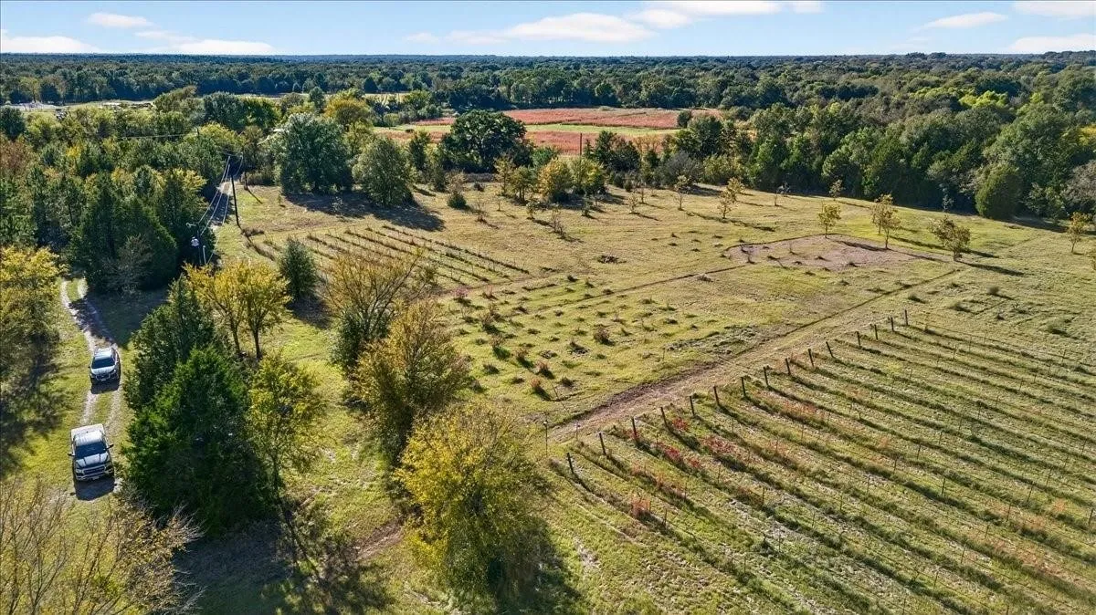 Single Family Residence For Sale in Van Zandt County , 1603 VZ CR 2908, Eustace, Texas 75124, 2 Bedroom, 1 Bathroom, Garage spaces, 1,280 Sqft, built in 2012, mls#21378416, Real Estate Agent in Eustace, Homes For Sale in Van Zandt county, Homes For Sale in Eustace, Realtor in Eustace Texas, Real Estate Brokerage Independent Realty Texas, Luminita Cordes Realtor