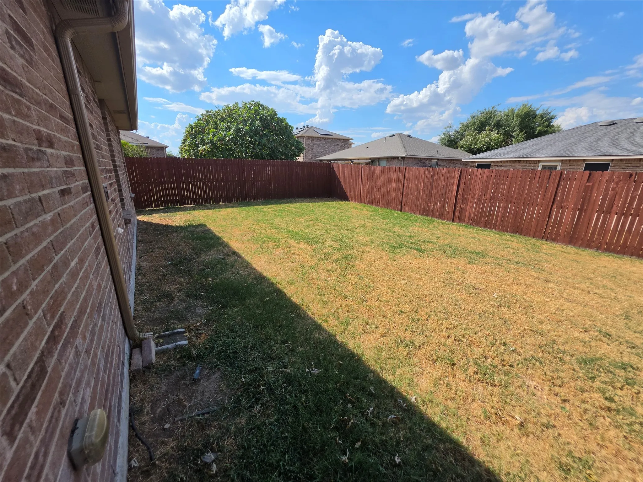 Backyard view 1