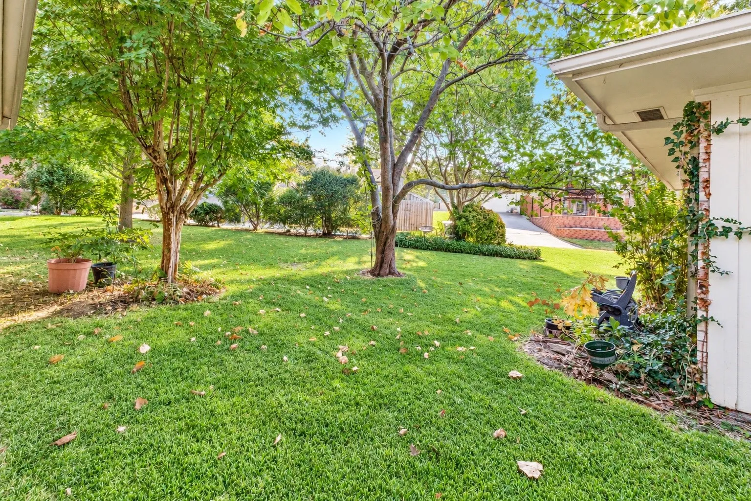 Sit under the trees and enjoy the evenings!