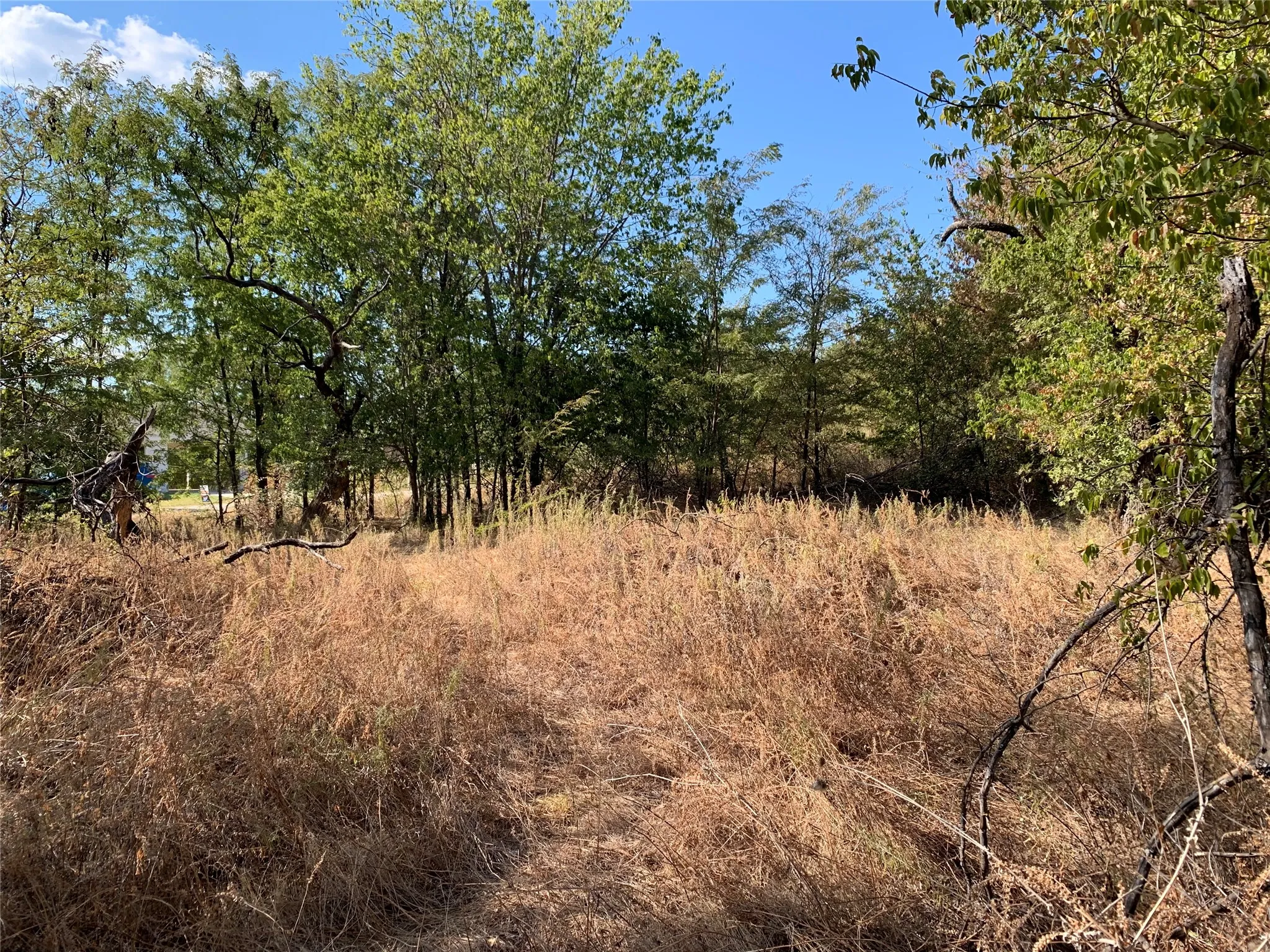 Unimproved Land For Sale in Wise County , 105 Bridlewood Lane, Bridgeport, Texas 76426, 0, 0, Garage spaces, 0 Sqft, built in 0, mls#21378424, Real Estate Agent in Bridgeport, Homes For Sale in Wise county, Homes For Sale in Bridgeport, Realtor in Bridgeport Texas, Real Estate Brokerage Independent Realty Texas, Luminita Cordes Realtor