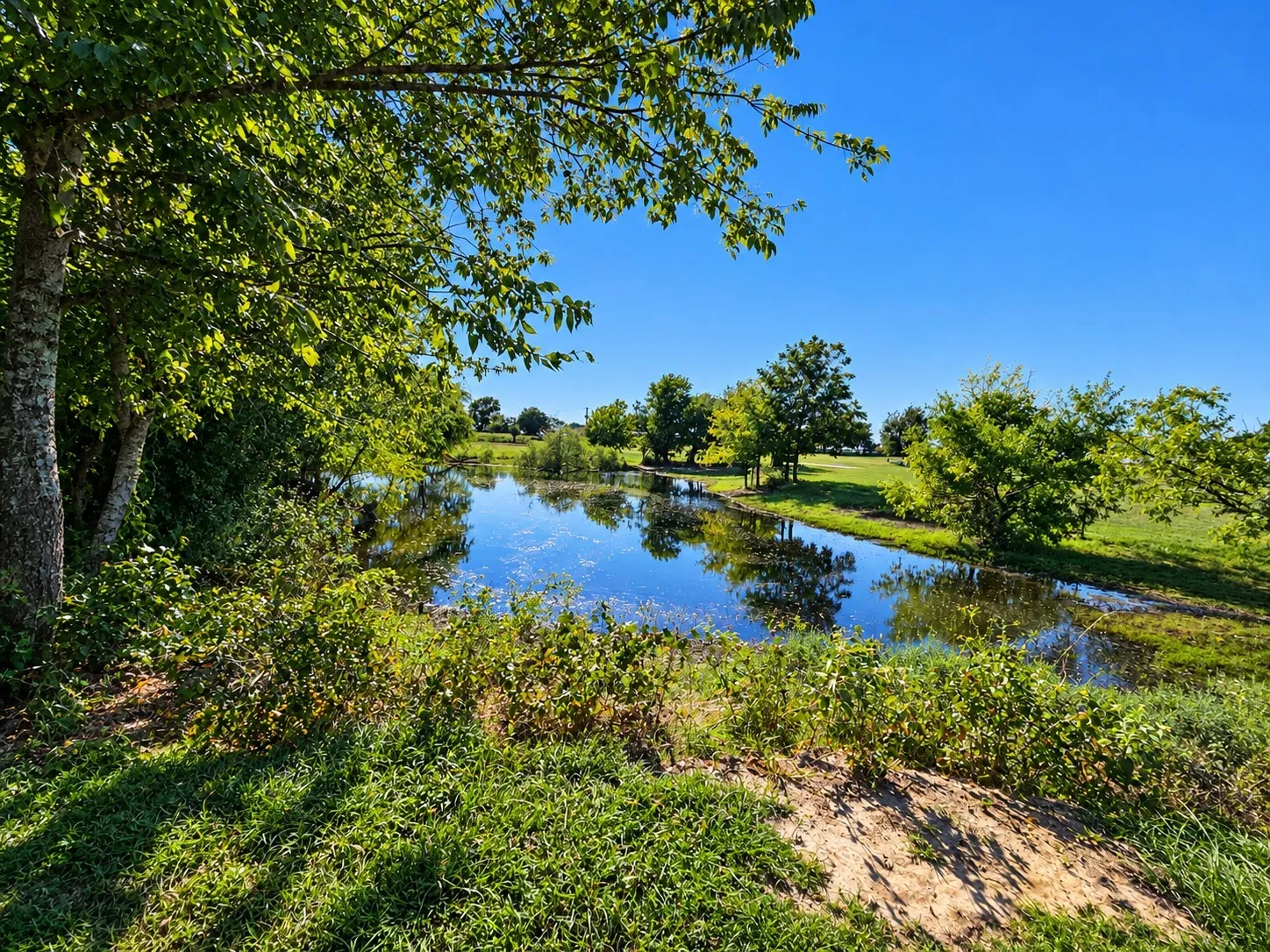 Water feature surrounded by mature trees, native landscaping, and expansive green space