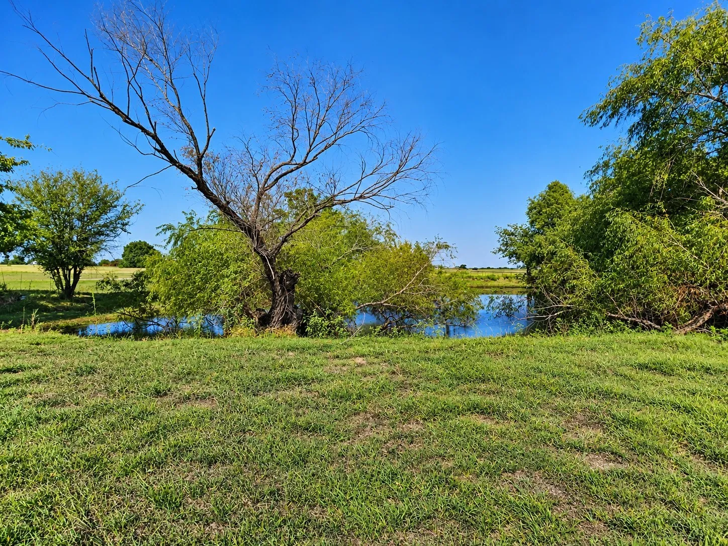 Expansive grounds featuring a natural pond, mature trees, and open green space