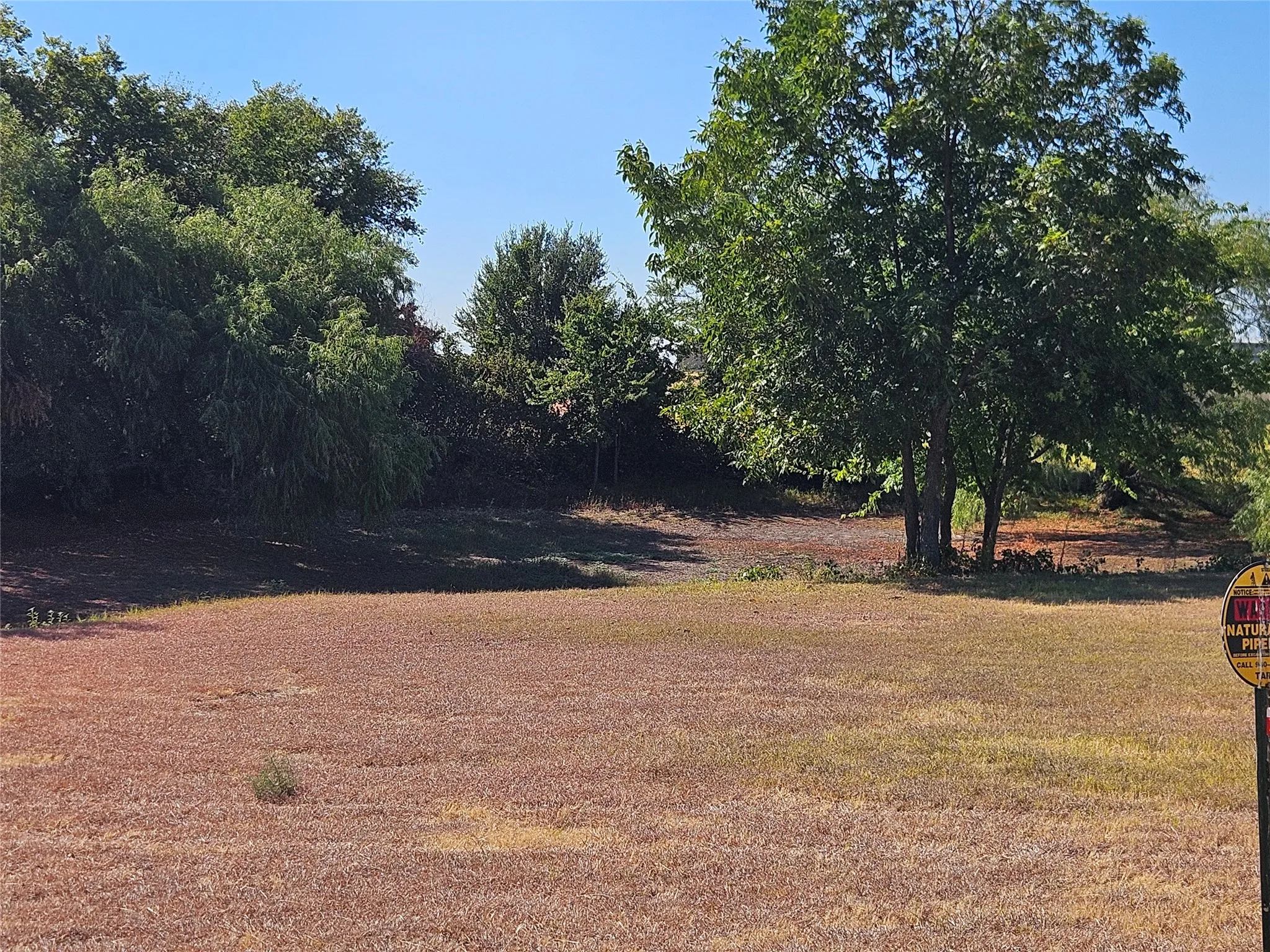 Expansive lot with mature trees and natural landscaping.