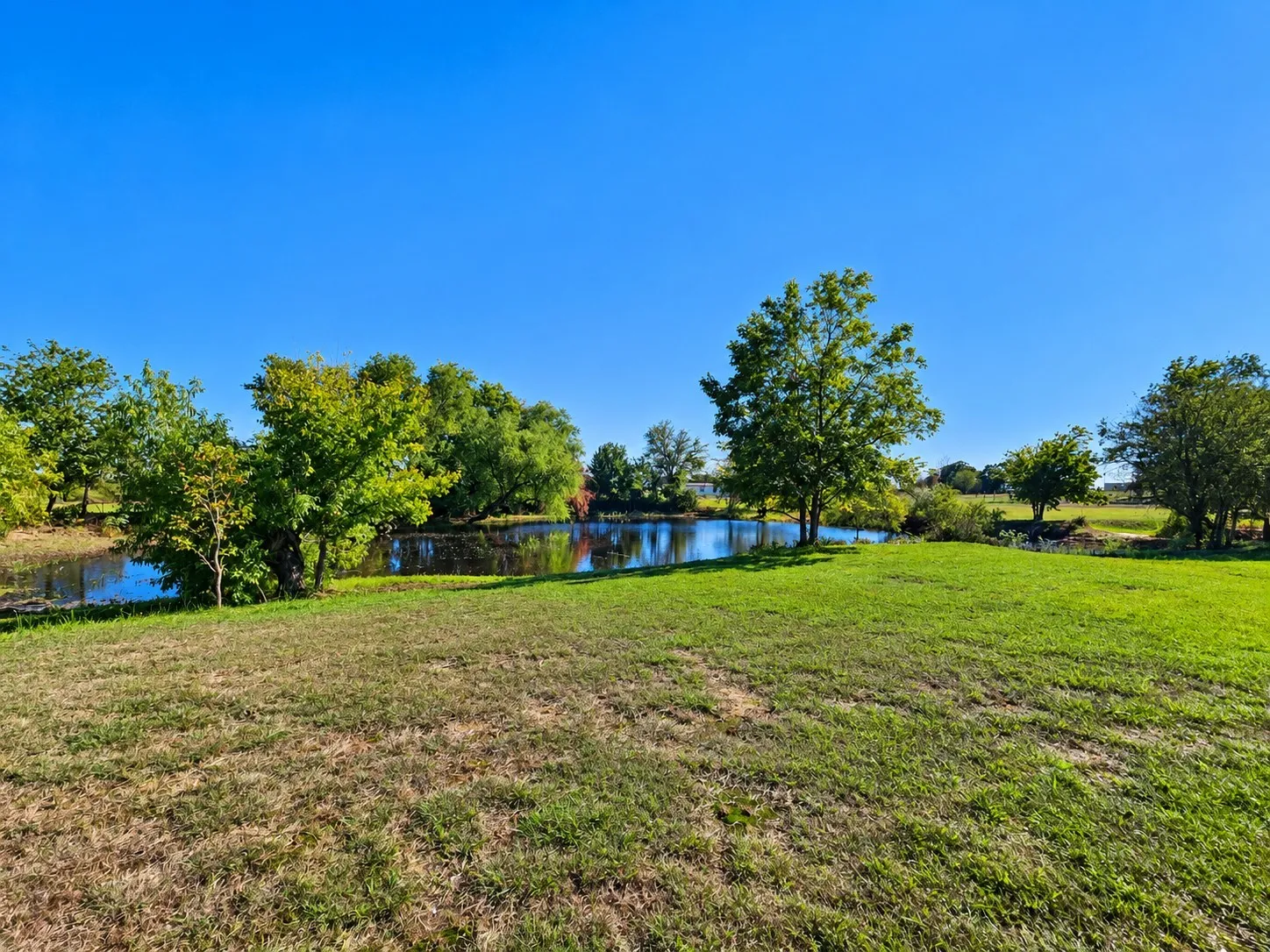 Expansive parcel featuring open green space, a natural pond, and mature trees