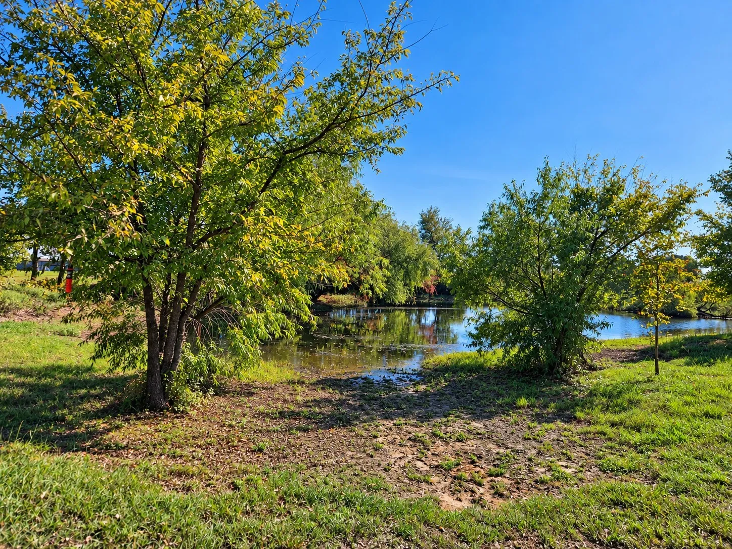 Natural pond area featuring mature trees and established greenery