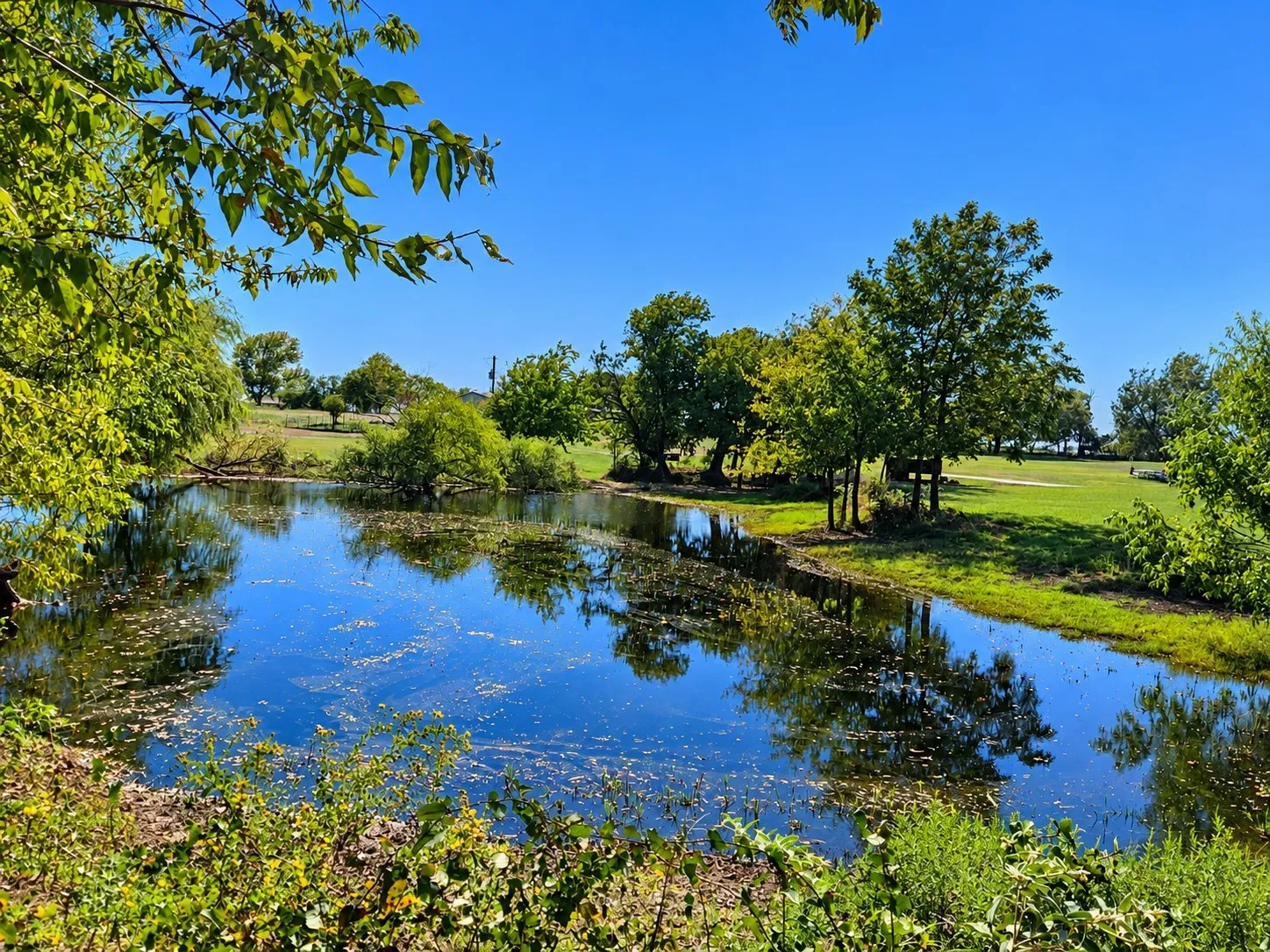 Private pond with mature perimeter trees and expansive grassy acreage