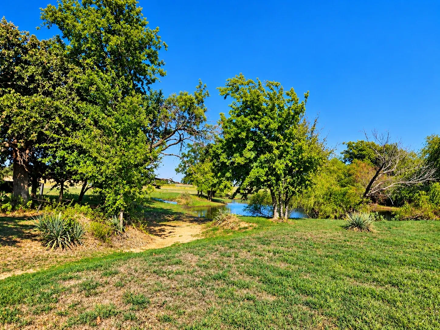 Expansive grounds featuring a natural pond, mature trees, open grassy areas, and desert-style landscaping