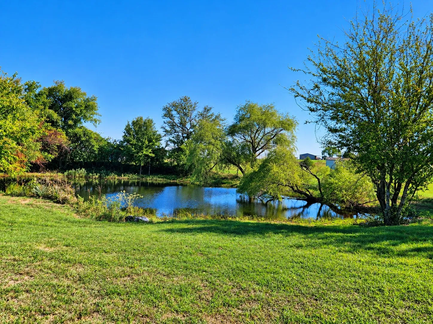Private pond set within an expansive grass landscape featuring mature deciduous trees