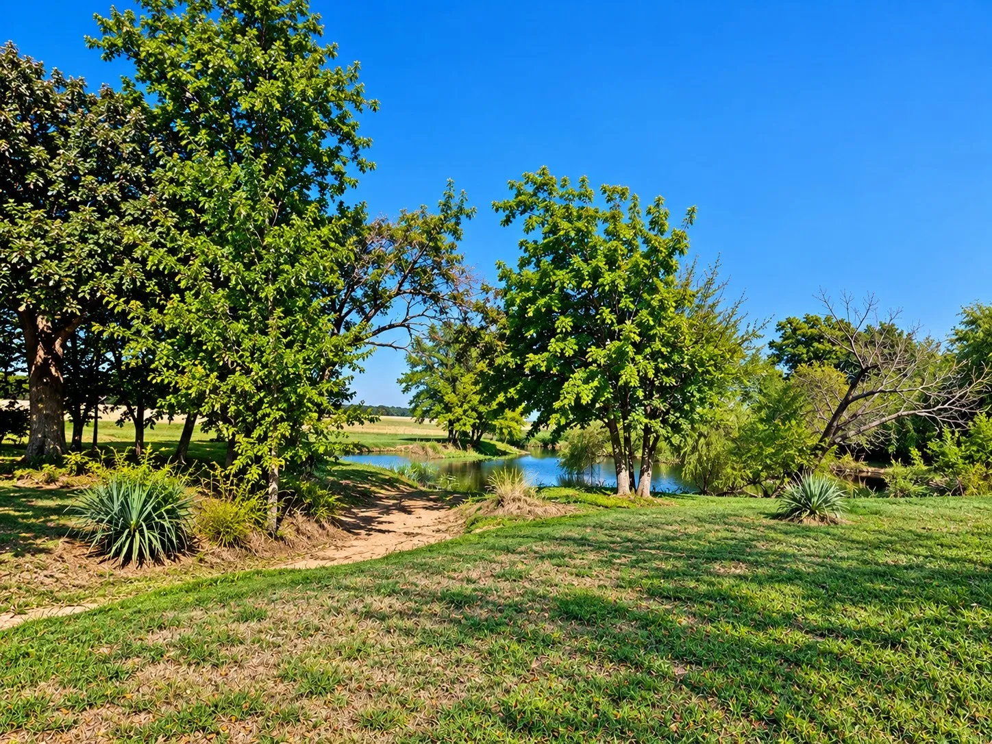 Expansive grounds featuring a private pond, mature trees, manicured lawn, and natural landscaping