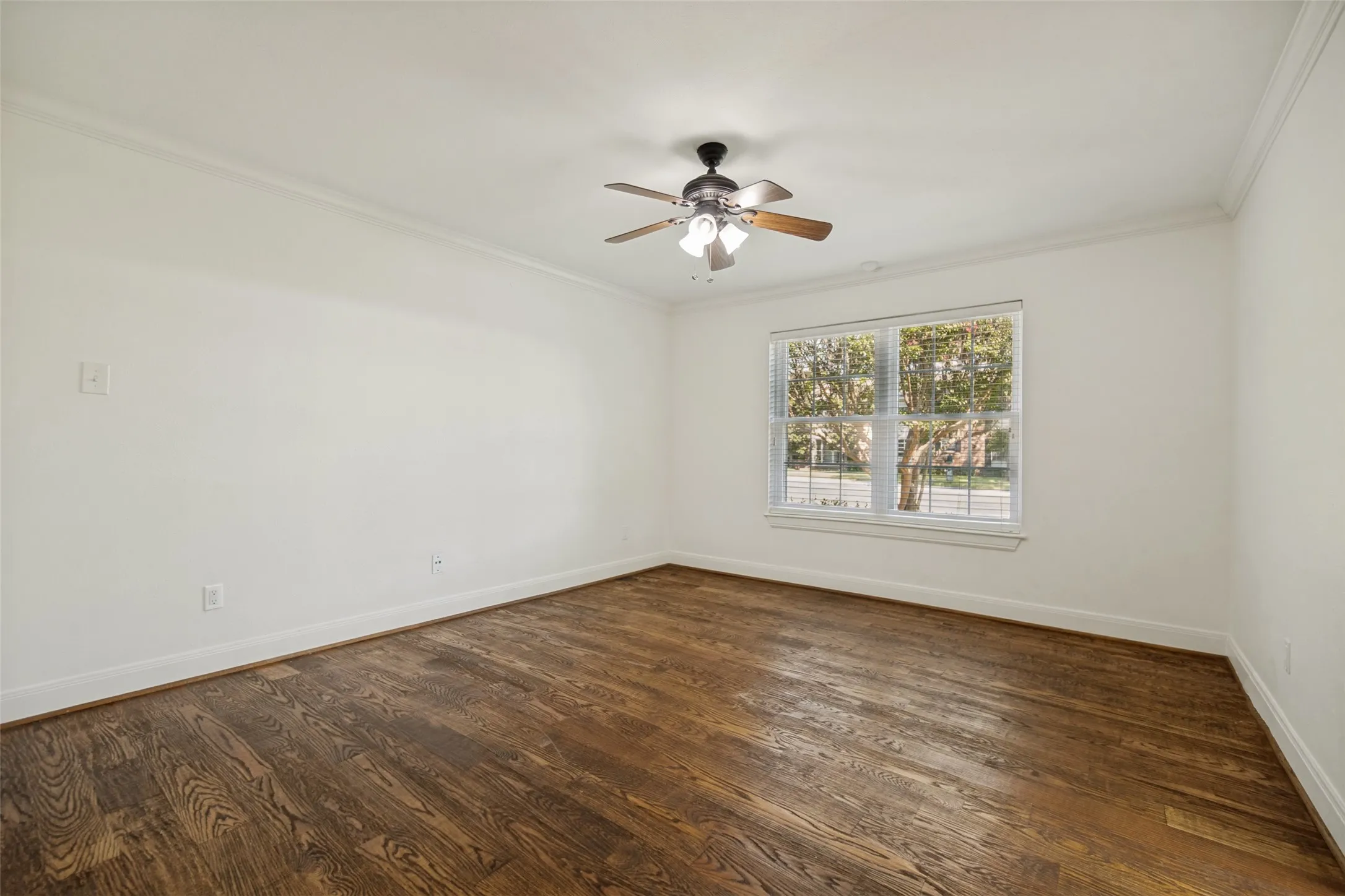 Wood-finish flooring, ceiling fan with integrated lighting, crown molding, and window with blinds