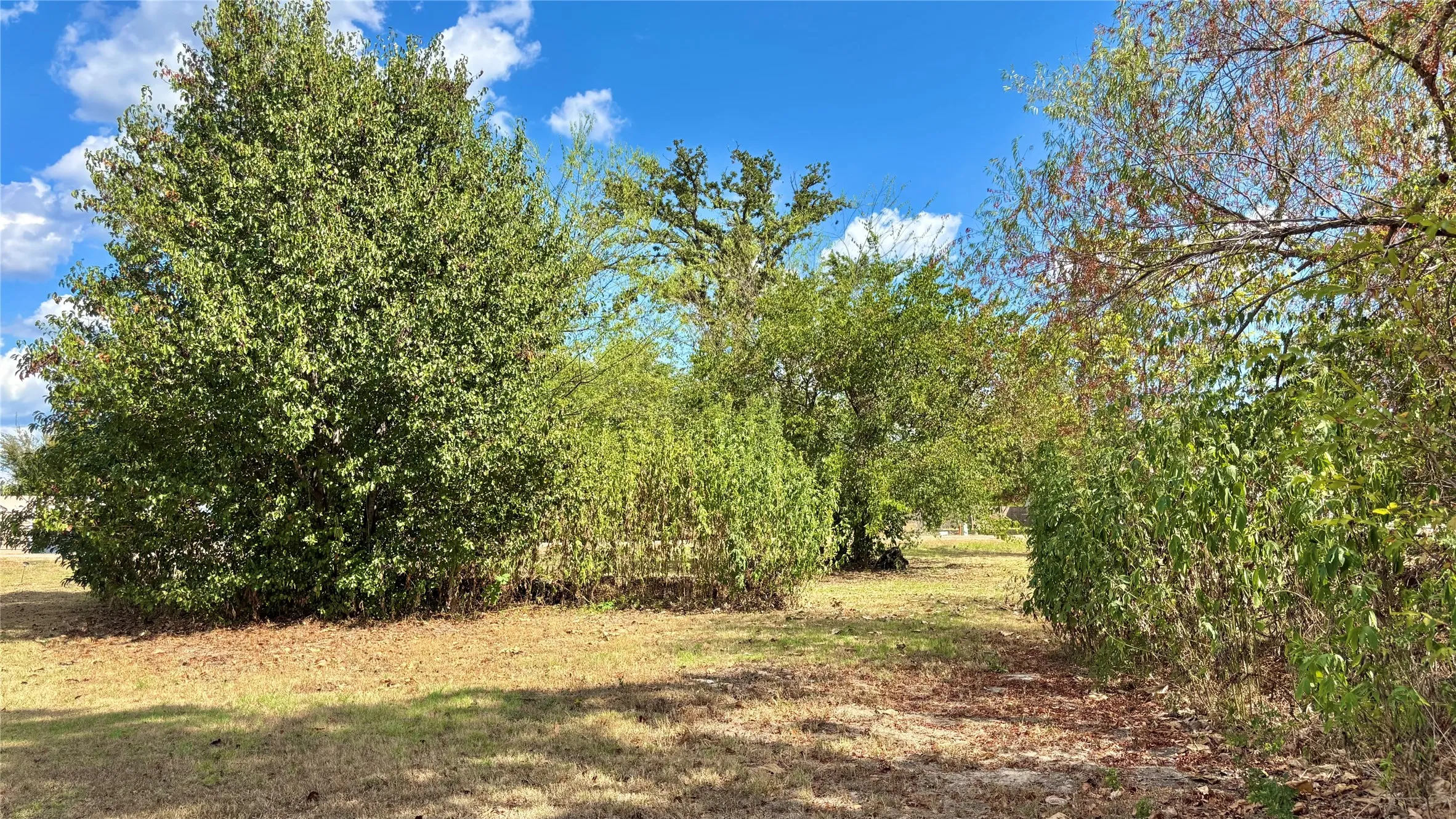 Unimproved Land For Sale in Wood County , 169 Navajo, Quitman, Texas 75783, 0, 0, Garage spaces, 0 Sqft, built in 0, mls#21374029, Real Estate Agent in Quitman, Homes For Sale in Wood county, Homes For Sale in Quitman, Realtor in Quitman Texas, Real Estate Brokerage Independent Realty Texas, Luminita Cordes Realtor