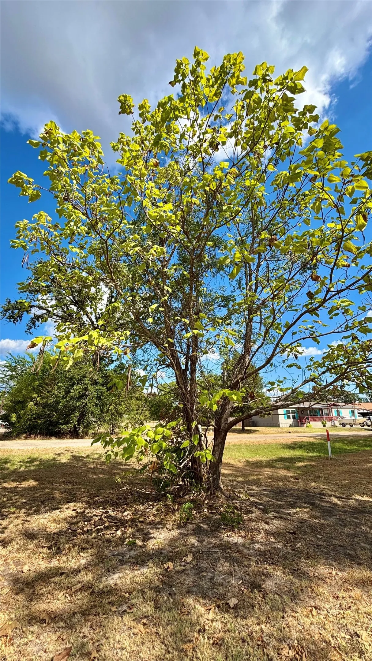 Unimproved Land For Sale in Wood County , 169 Navajo, Quitman, Texas 75783, 0, 0, Garage spaces, 0 Sqft, built in 0, mls#21374029, Real Estate Agent in Quitman, Homes For Sale in Wood county, Homes For Sale in Quitman, Realtor in Quitman Texas, Real Estate Brokerage Independent Realty Texas, Luminita Cordes Realtor