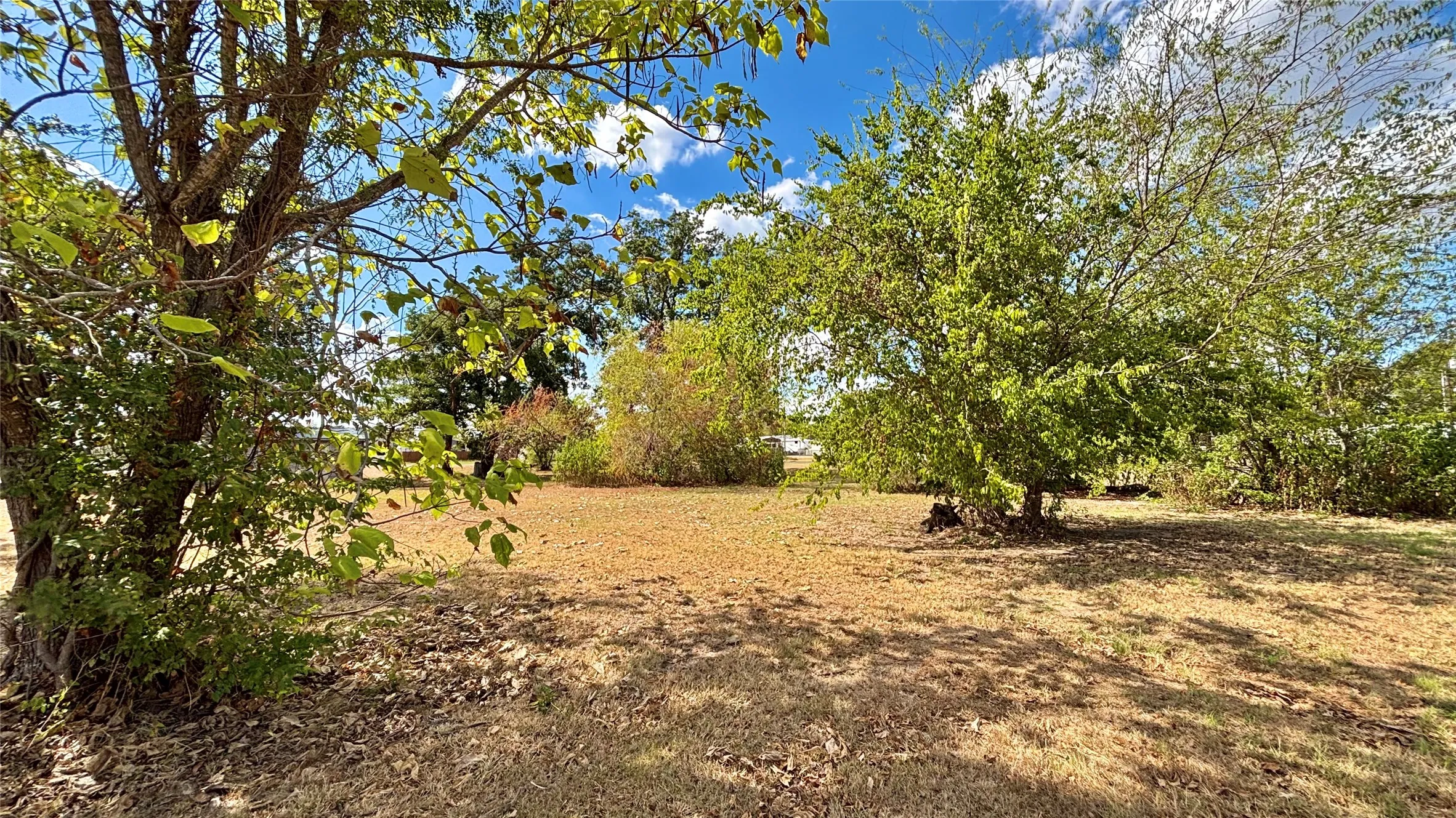 Unimproved Land For Sale in Wood County , 169 Navajo, Quitman, Texas 75783, 0, 0, Garage spaces, 0 Sqft, built in 0, mls#21374029, Real Estate Agent in Quitman, Homes For Sale in Wood county, Homes For Sale in Quitman, Realtor in Quitman Texas, Real Estate Brokerage Independent Realty Texas, Luminita Cordes Realtor