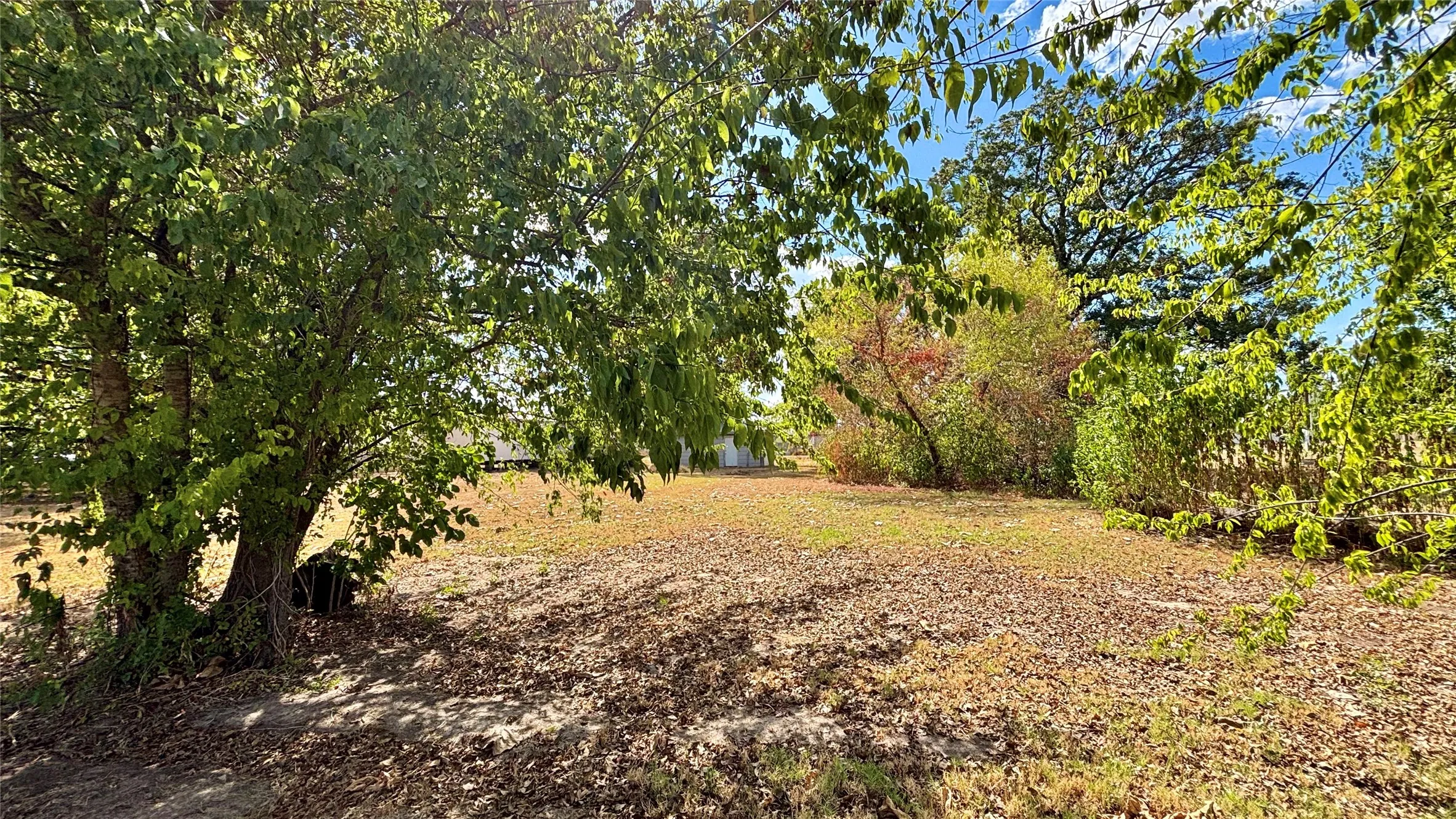 Unimproved Land For Sale in Wood County , 169 Navajo, Quitman, Texas 75783, 0, 0, Garage spaces, 0 Sqft, built in 0, mls#21374029, Real Estate Agent in Quitman, Homes For Sale in Wood county, Homes For Sale in Quitman, Realtor in Quitman Texas, Real Estate Brokerage Independent Realty Texas, Luminita Cordes Realtor