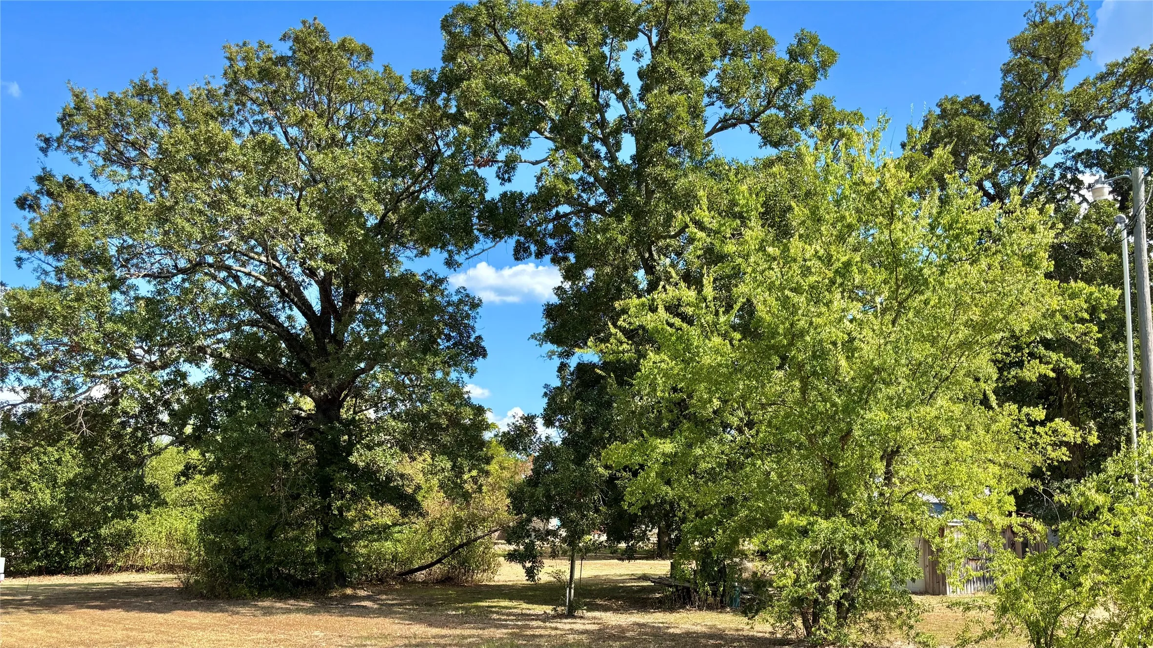 Unimproved Land For Sale in Wood County , 169 Navajo, Quitman, Texas 75783, 0, 0, Garage spaces, 0 Sqft, built in 0, mls#21374029, Real Estate Agent in Quitman, Homes For Sale in Wood county, Homes For Sale in Quitman, Realtor in Quitman Texas, Real Estate Brokerage Independent Realty Texas, Luminita Cordes Realtor