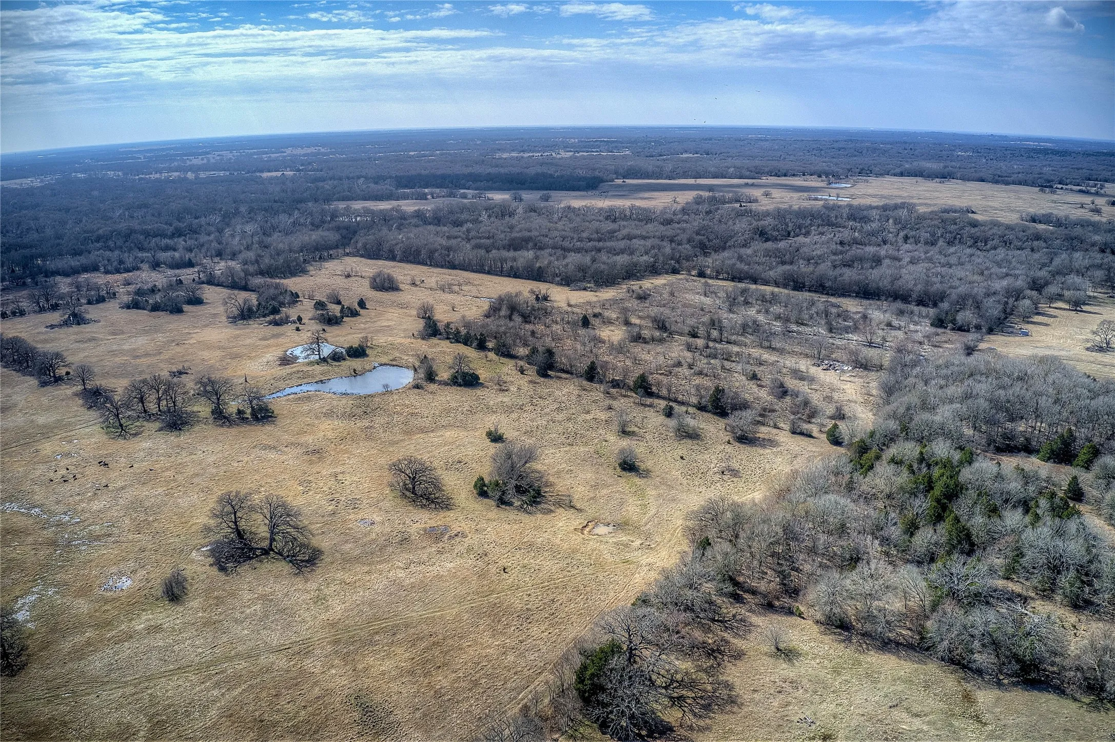 Farm For Sale in Kaufman County , 5355 County Road 120, Wills Point, Texas 75169, 3 Bedroom, 2 Bathroom, Garage spaces, 1,512 Sqft, built in 2000, mls#21378524, Real Estate Agent in Wills Point, Homes For Sale in Kaufman county, Homes For Sale in Wills Point, Realtor in Wills Point Texas, Real Estate Brokerage Independent Realty Texas, Luminita Cordes Realtor