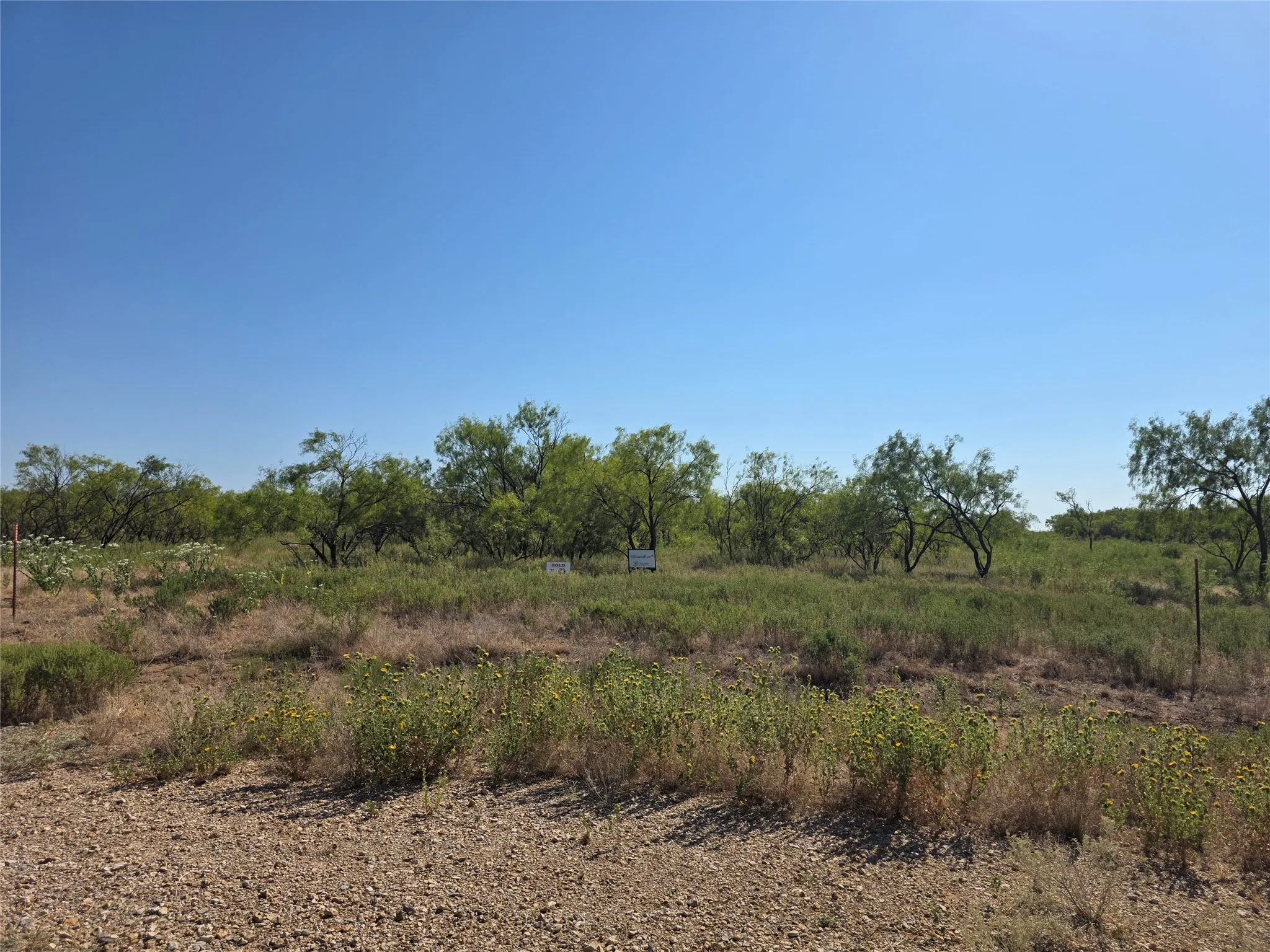 Expansive undeveloped land with diverse natural vegetation