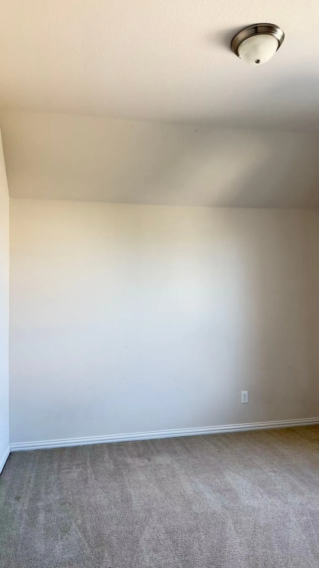 Neutral wall paint, carpet flooring, base molding, and ceiling-mounted light fixture
