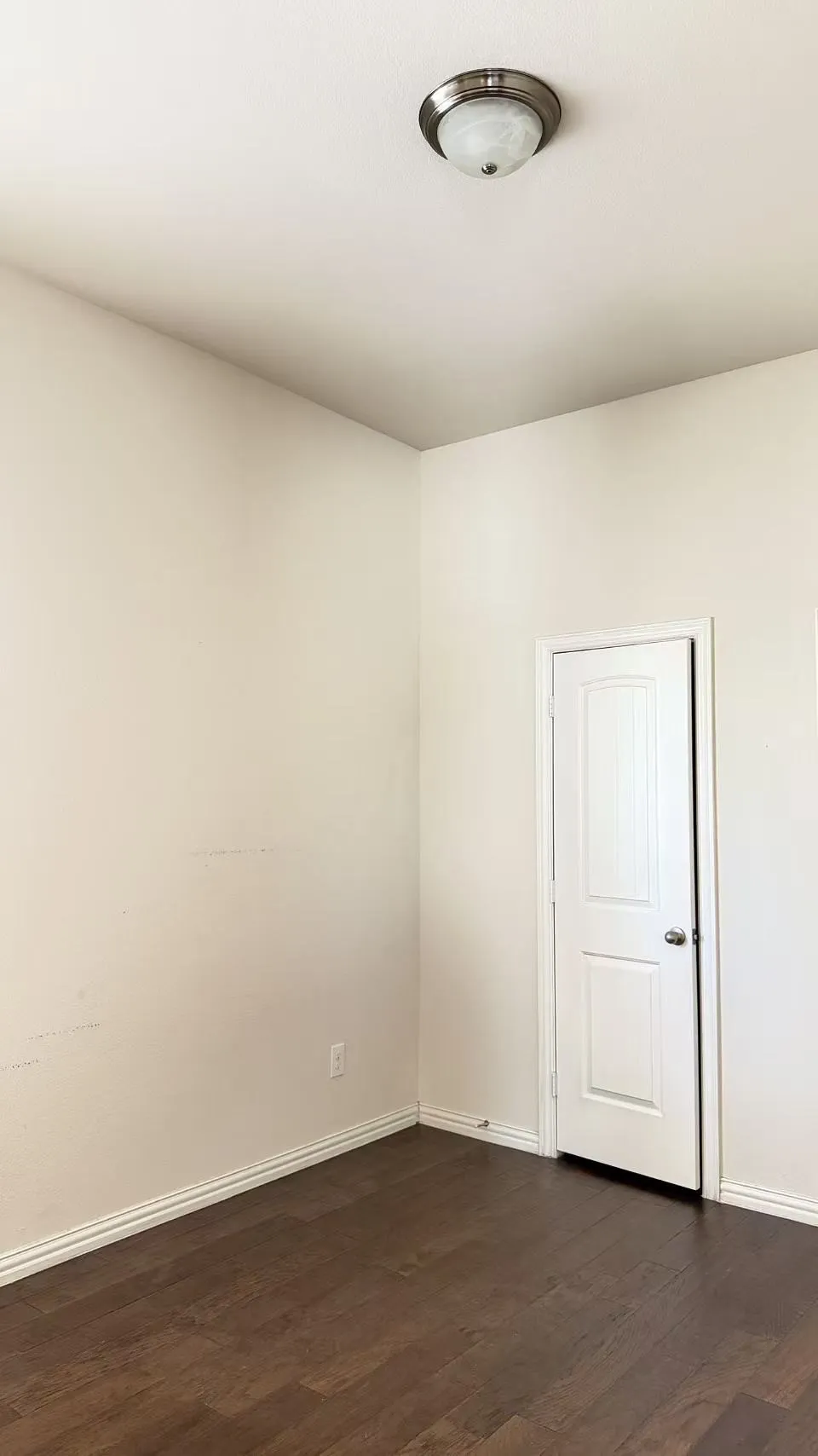 Recessed ceiling light fixture with a glass dome, wood-finish flooring, and white interior door with a silver-tone knob