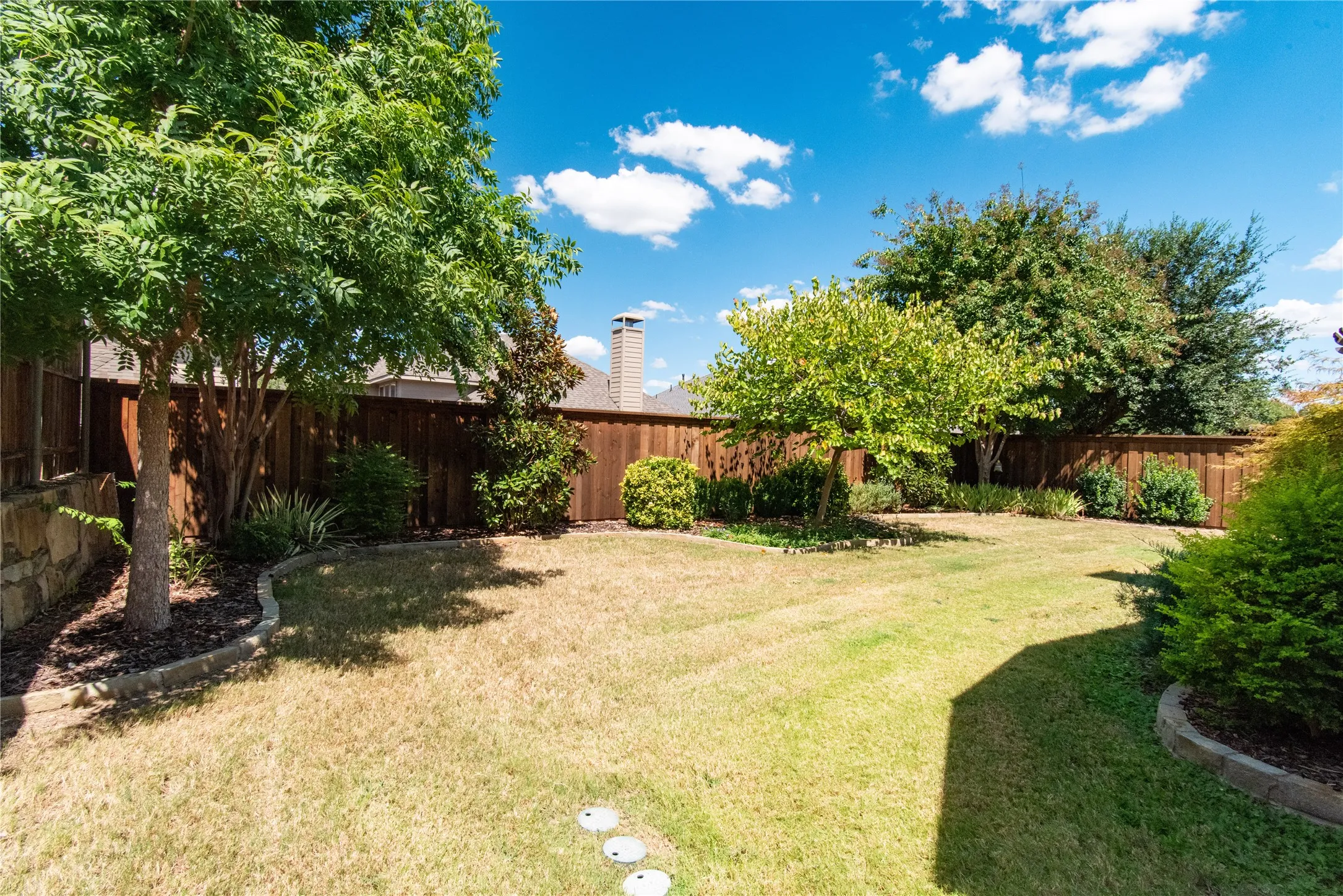 Backyard view 3