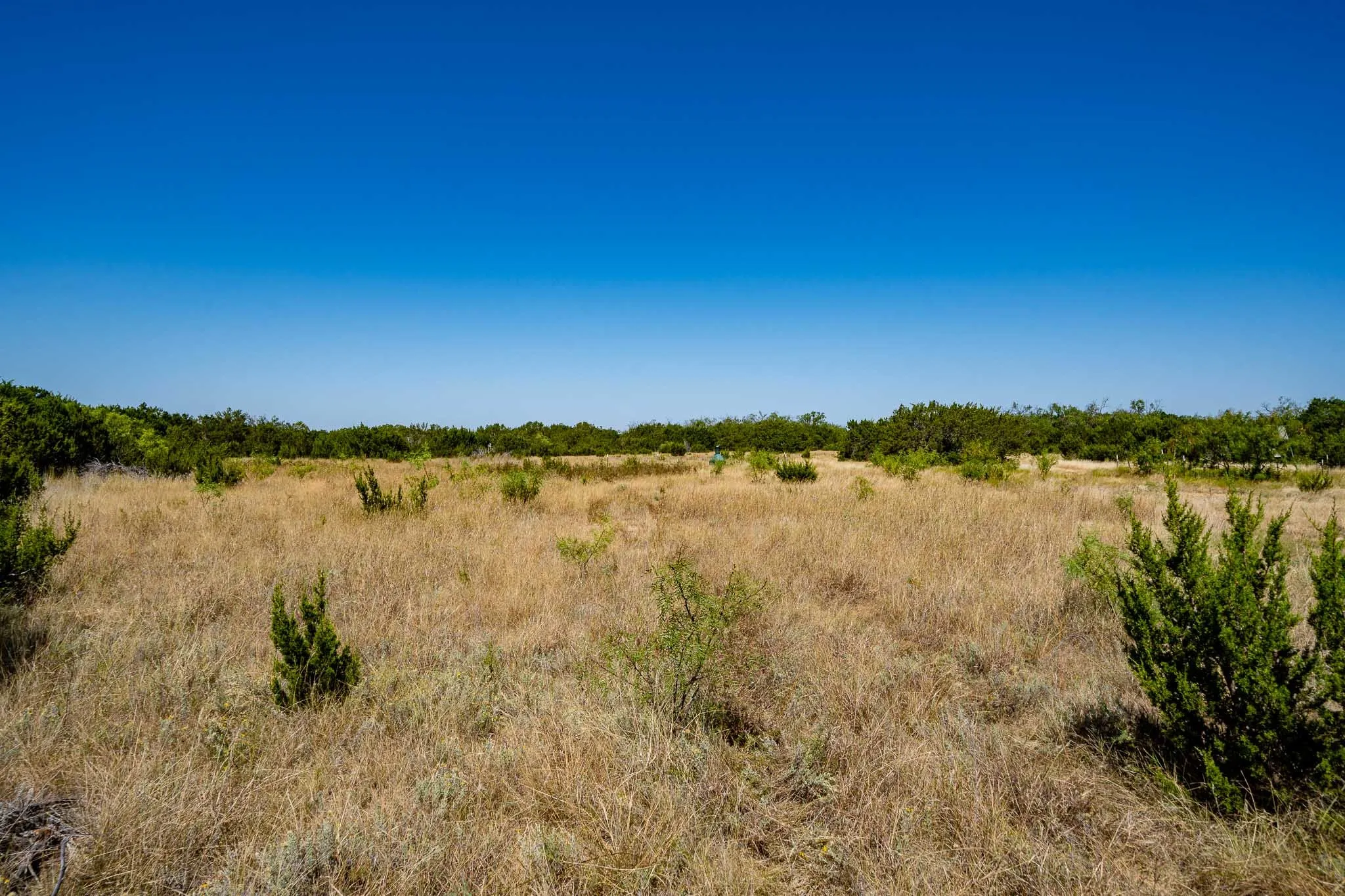 Ranch For Sale in Taylor County , 221 County Road 225, Wingate, Texas 79566, 0, 0, Garage spaces, 0 Sqft, built in 2000, mls#21378594, Real Estate Agent in Wingate, Homes For Sale in Taylor county, Homes For Sale in Wingate, Realtor in Wingate Texas, Real Estate Brokerage Independent Realty Texas, Luminita Cordes Realtor