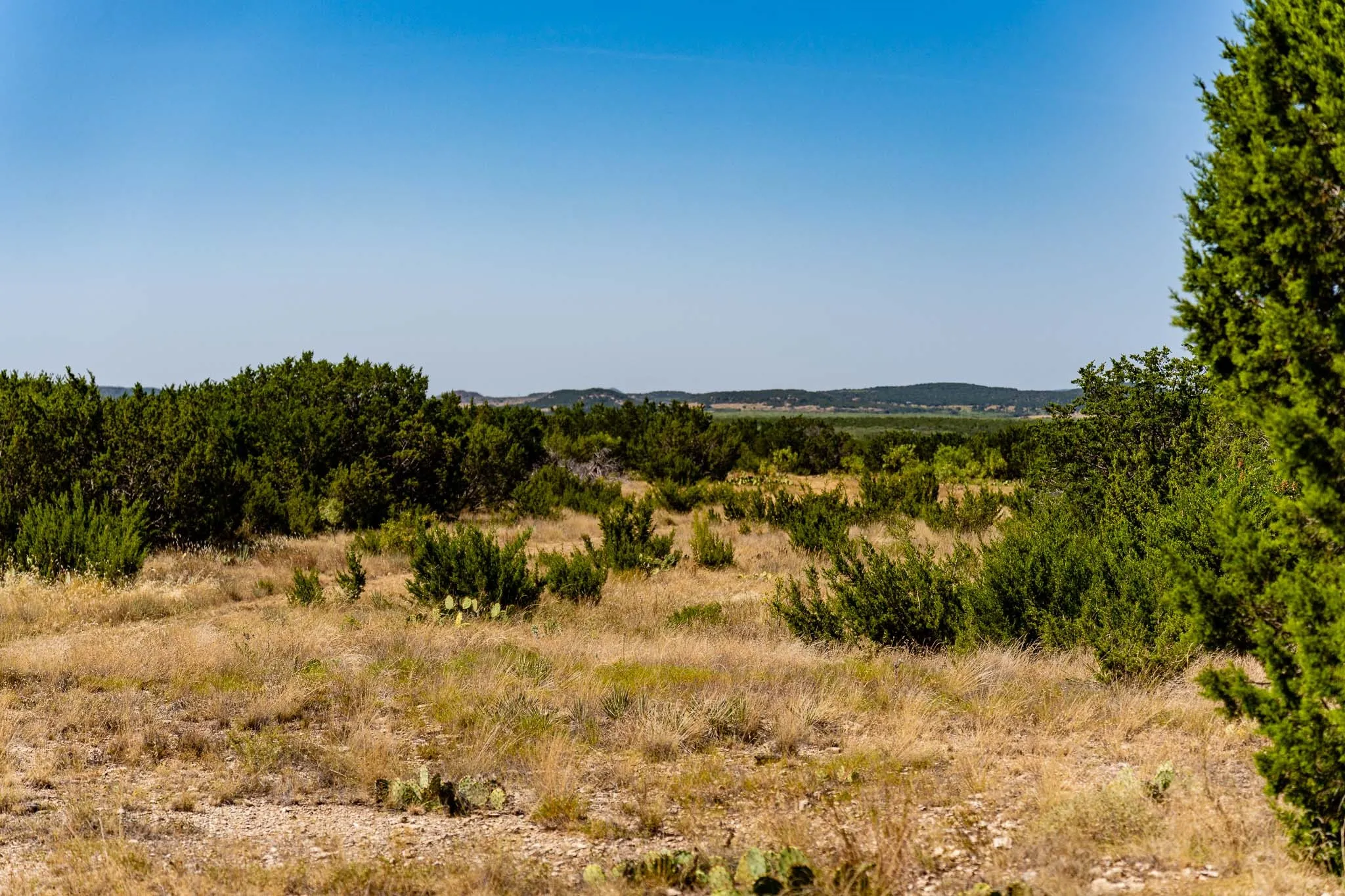Ranch For Sale in Taylor County , 221 County Road 225, Wingate, Texas 79566, 0, 0, Garage spaces, 0 Sqft, built in 2000, mls#21378594, Real Estate Agent in Wingate, Homes For Sale in Taylor county, Homes For Sale in Wingate, Realtor in Wingate Texas, Real Estate Brokerage Independent Realty Texas, Luminita Cordes Realtor