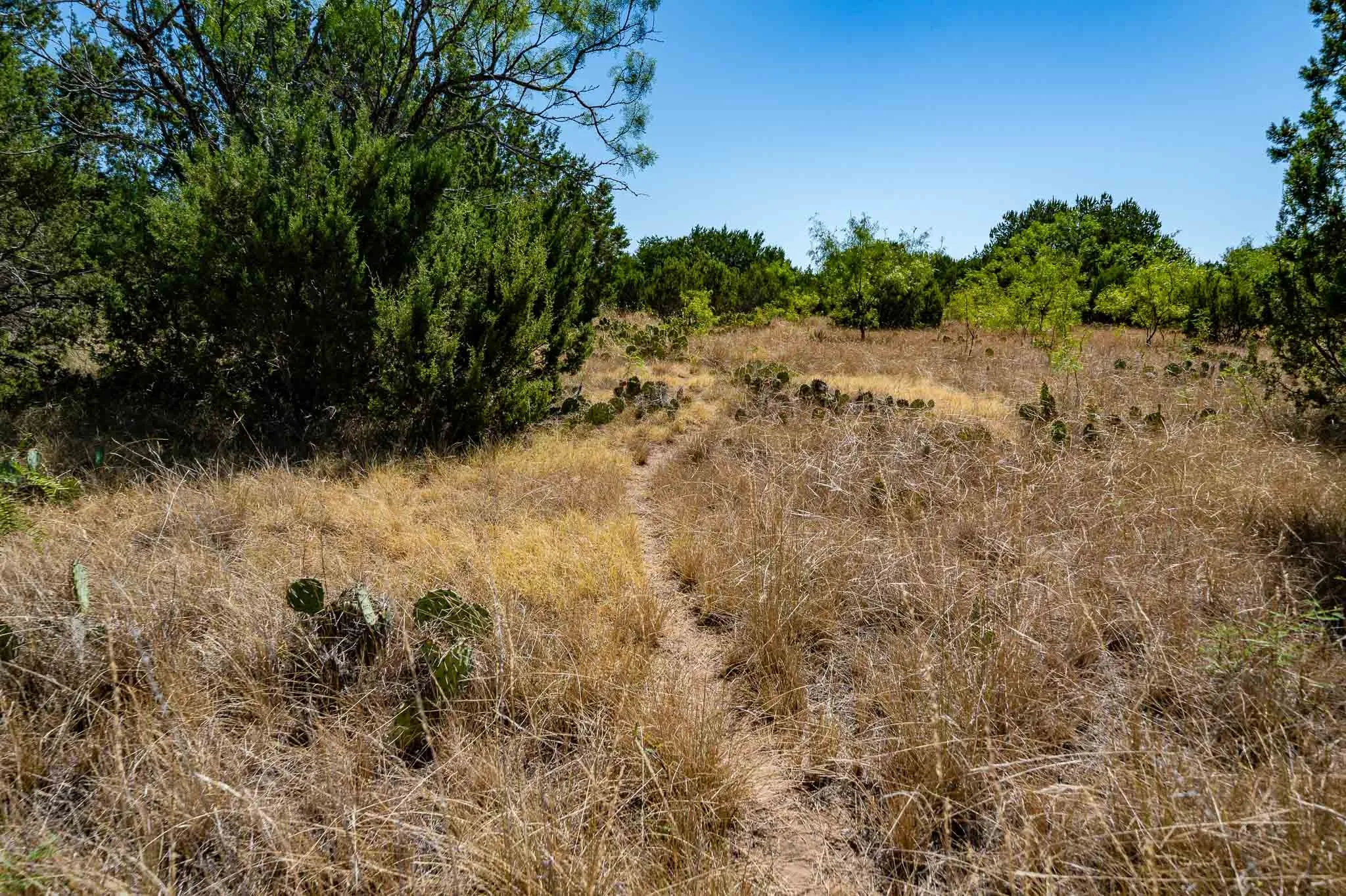 Ranch For Sale in Taylor County , 221 County Road 225, Wingate, Texas 79566, 0, 0, Garage spaces, 0 Sqft, built in 2000, mls#21378594, Real Estate Agent in Wingate, Homes For Sale in Taylor county, Homes For Sale in Wingate, Realtor in Wingate Texas, Real Estate Brokerage Independent Realty Texas, Luminita Cordes Realtor