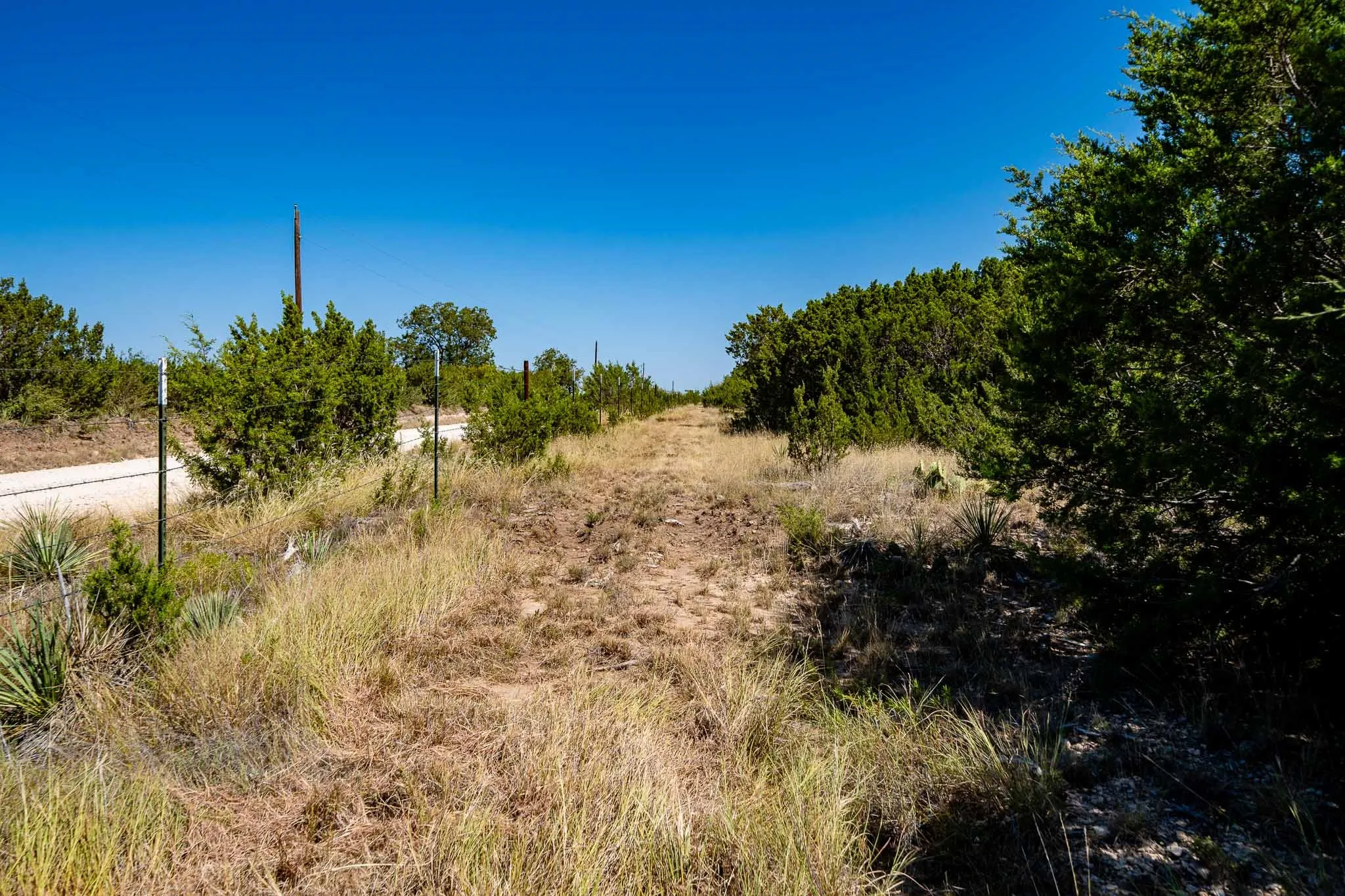 Ranch For Sale in Taylor County , 221 County Road 225, Wingate, Texas 79566, 0, 0, Garage spaces, 0 Sqft, built in 2000, mls#21378594, Real Estate Agent in Wingate, Homes For Sale in Taylor county, Homes For Sale in Wingate, Realtor in Wingate Texas, Real Estate Brokerage Independent Realty Texas, Luminita Cordes Realtor