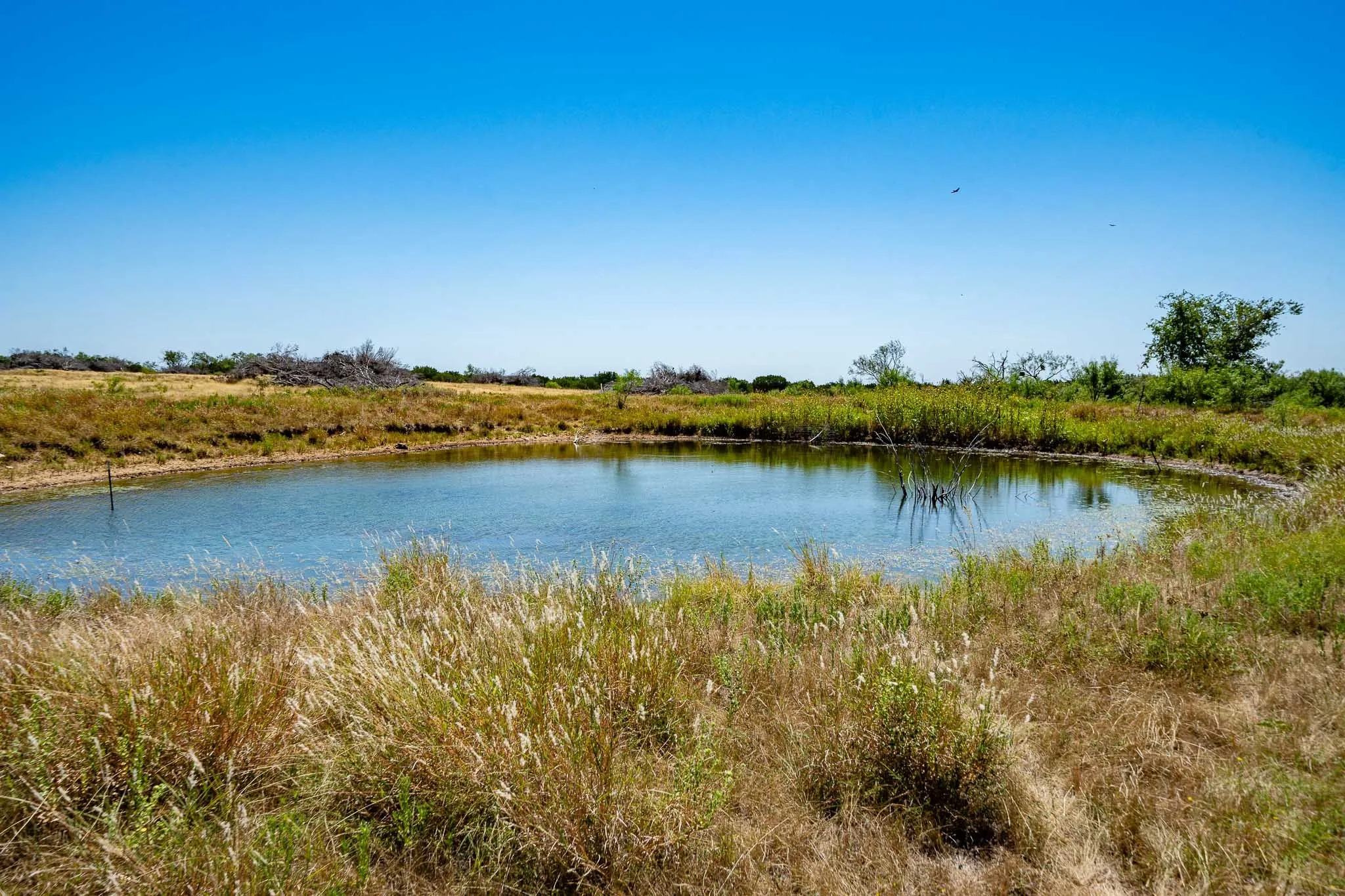 Ranch For Sale in Taylor County , 221 County Road 225, Wingate, Texas 79566, 0, 0, Garage spaces, 0 Sqft, built in 2000, mls#21378594, Real Estate Agent in Wingate, Homes For Sale in Taylor county, Homes For Sale in Wingate, Realtor in Wingate Texas, Real Estate Brokerage Independent Realty Texas, Luminita Cordes Realtor
