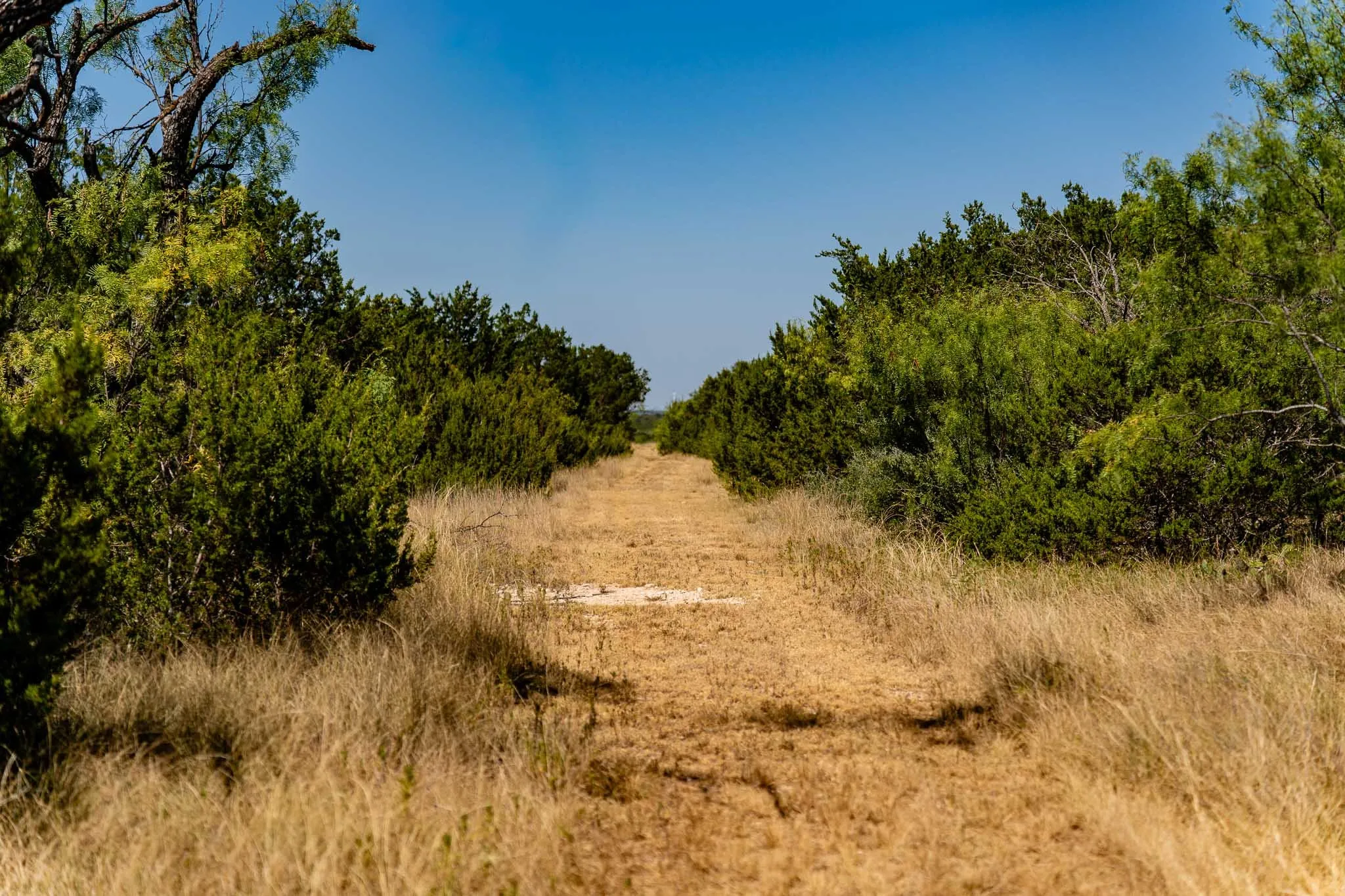 Ranch For Sale in Taylor County , 221 County Road 225, Wingate, Texas 79566, 0, 0, Garage spaces, 0 Sqft, built in 2000, mls#21378594, Real Estate Agent in Wingate, Homes For Sale in Taylor county, Homes For Sale in Wingate, Realtor in Wingate Texas, Real Estate Brokerage Independent Realty Texas, Luminita Cordes Realtor