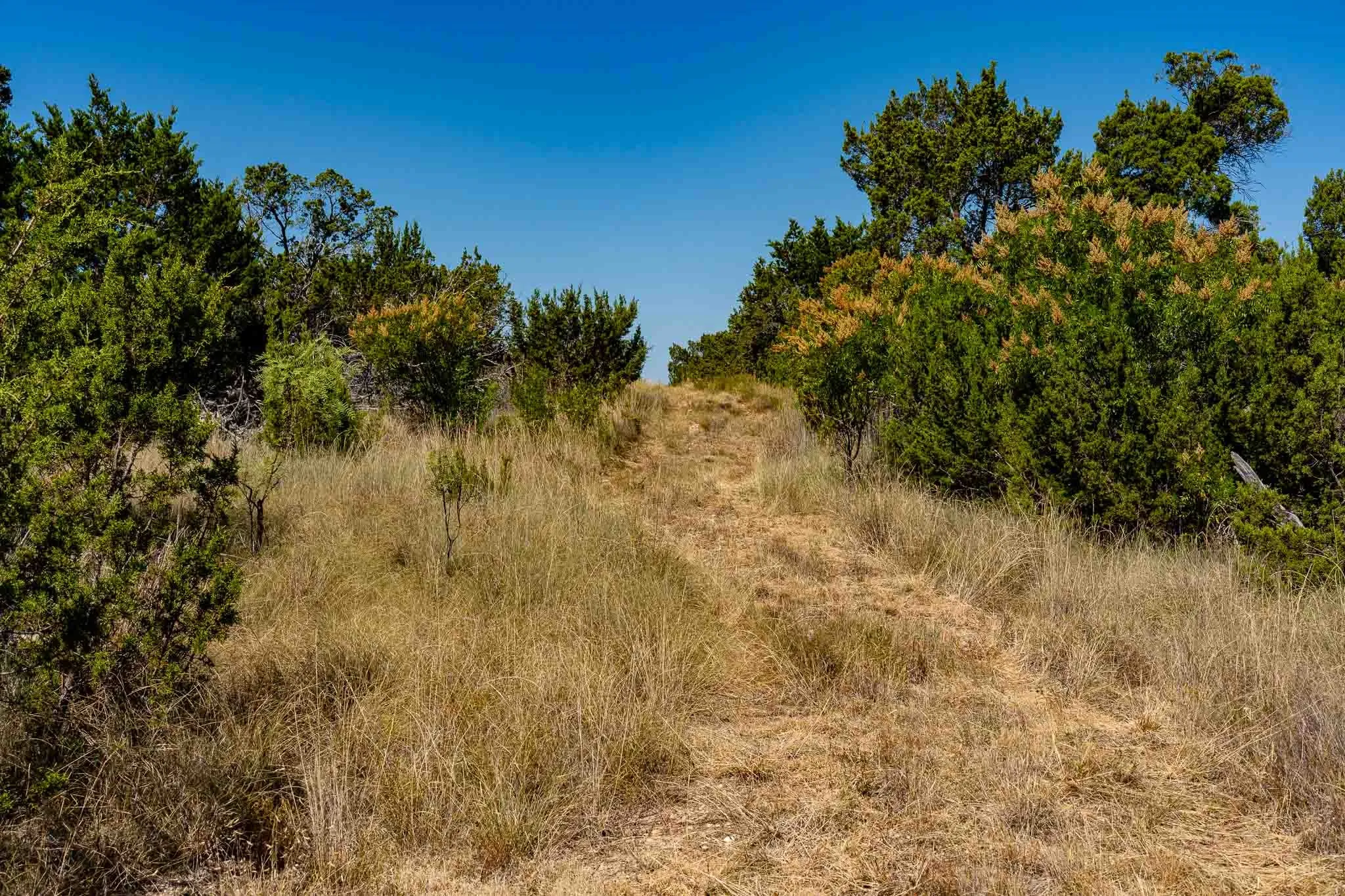 Ranch For Sale in Taylor County , 221 County Road 225, Wingate, Texas 79566, 0, 0, Garage spaces, 0 Sqft, built in 2000, mls#21378594, Real Estate Agent in Wingate, Homes For Sale in Taylor county, Homes For Sale in Wingate, Realtor in Wingate Texas, Real Estate Brokerage Independent Realty Texas, Luminita Cordes Realtor