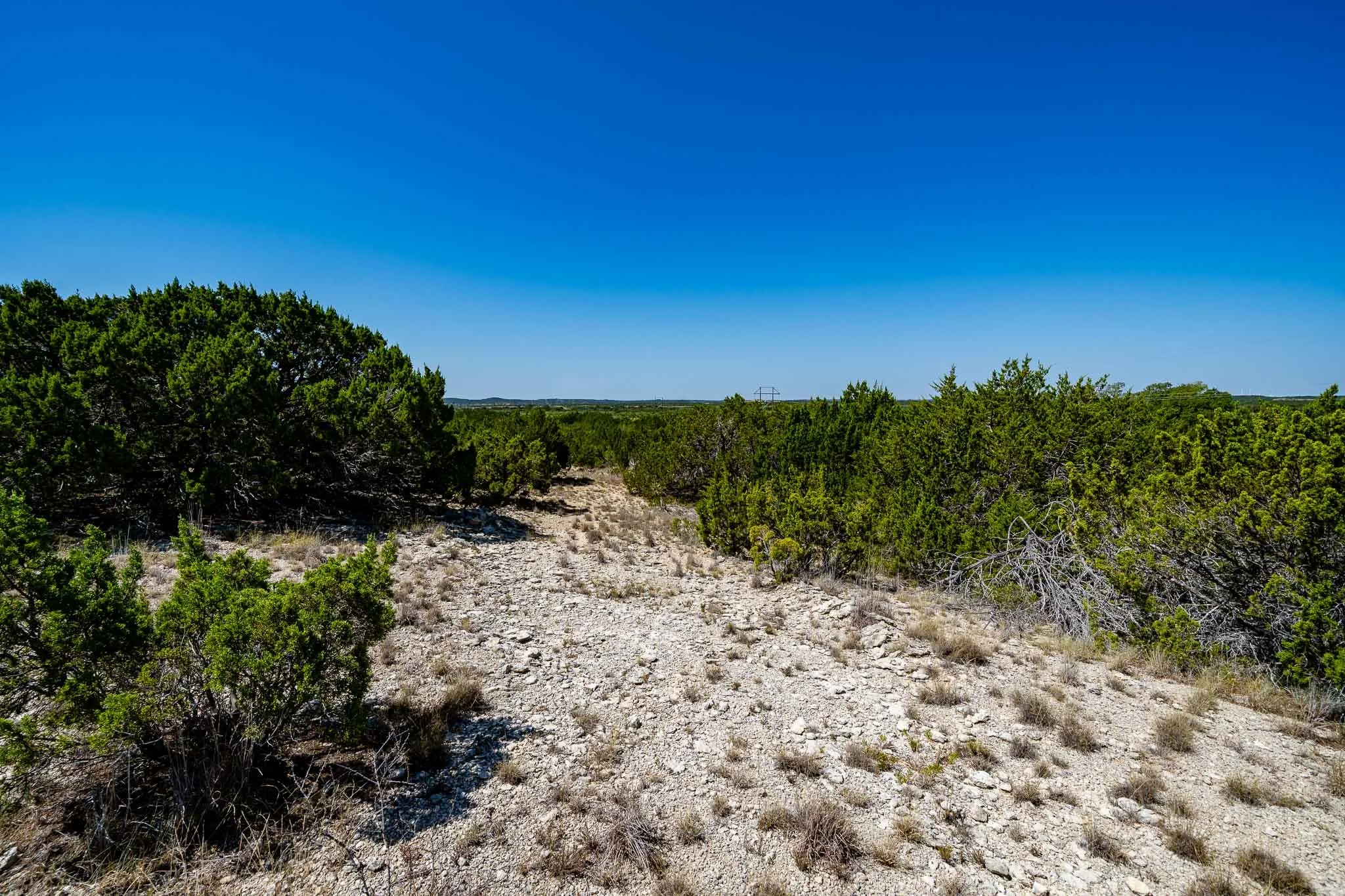 Ranch For Sale in Taylor County , 221 County Road 225, Wingate, Texas 79566, 0, 0, Garage spaces, 0 Sqft, built in 2000, mls#21378594, Real Estate Agent in Wingate, Homes For Sale in Taylor county, Homes For Sale in Wingate, Realtor in Wingate Texas, Real Estate Brokerage Independent Realty Texas, Luminita Cordes Realtor