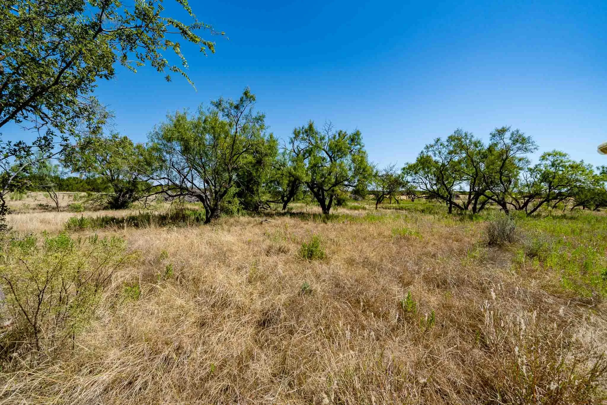 Ranch For Sale in Taylor County , 221 County Road 225, Wingate, Texas 79566, 0, 0, Garage spaces, 0 Sqft, built in 2000, mls#21378594, Real Estate Agent in Wingate, Homes For Sale in Taylor county, Homes For Sale in Wingate, Realtor in Wingate Texas, Real Estate Brokerage Independent Realty Texas, Luminita Cordes Realtor