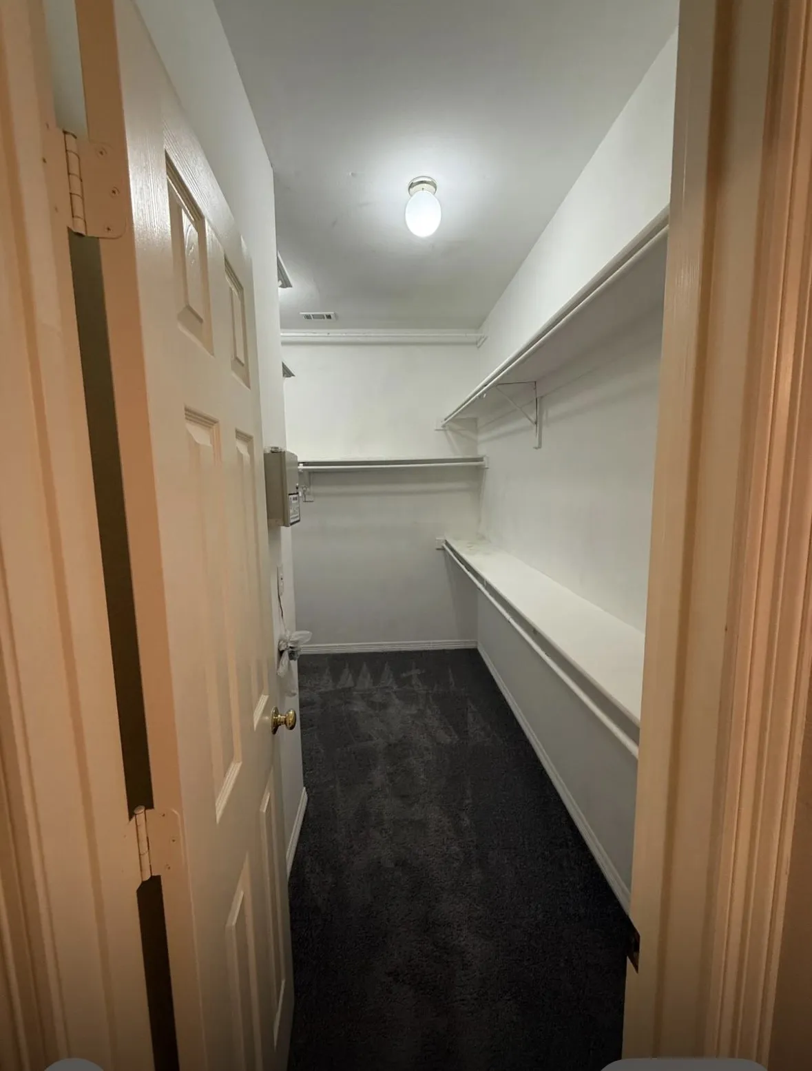 Spacious closet featuring dark colored carpet