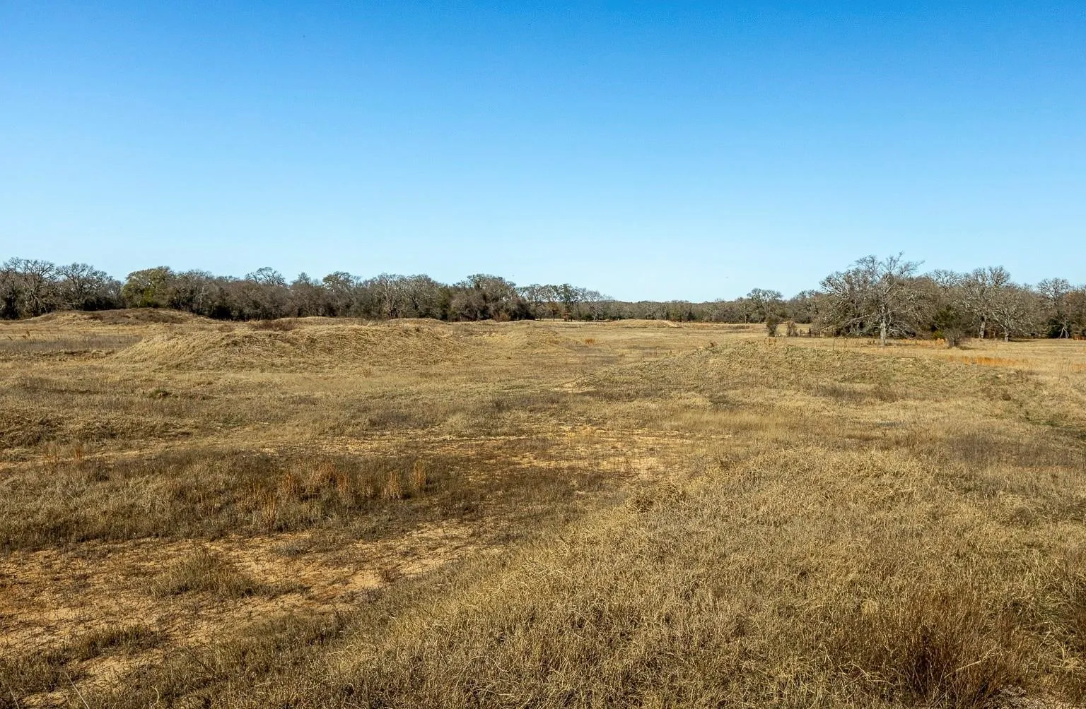 Improved Land For Sale in Kaufman County , 12005 C RD 4078, Scurry, Texas 75158, 0, 0, Garage spaces, 0 Sqft, built in 1965, mls#21378705, Real Estate Agent in Scurry, Homes For Sale in Kaufman county, Homes For Sale in Scurry, Realtor in Scurry Texas, Real Estate Brokerage Independent Realty Texas, Luminita Cordes Realtor