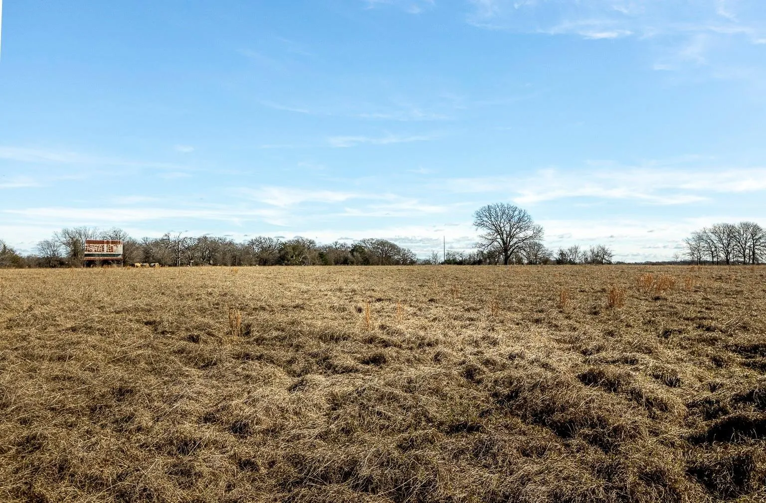 Improved Land For Sale in Kaufman County , 12005 C RD 4078, Scurry, Texas 75158, 0, 0, Garage spaces, 0 Sqft, built in 1965, mls#21378705, Real Estate Agent in Scurry, Homes For Sale in Kaufman county, Homes For Sale in Scurry, Realtor in Scurry Texas, Real Estate Brokerage Independent Realty Texas, Luminita Cordes Realtor