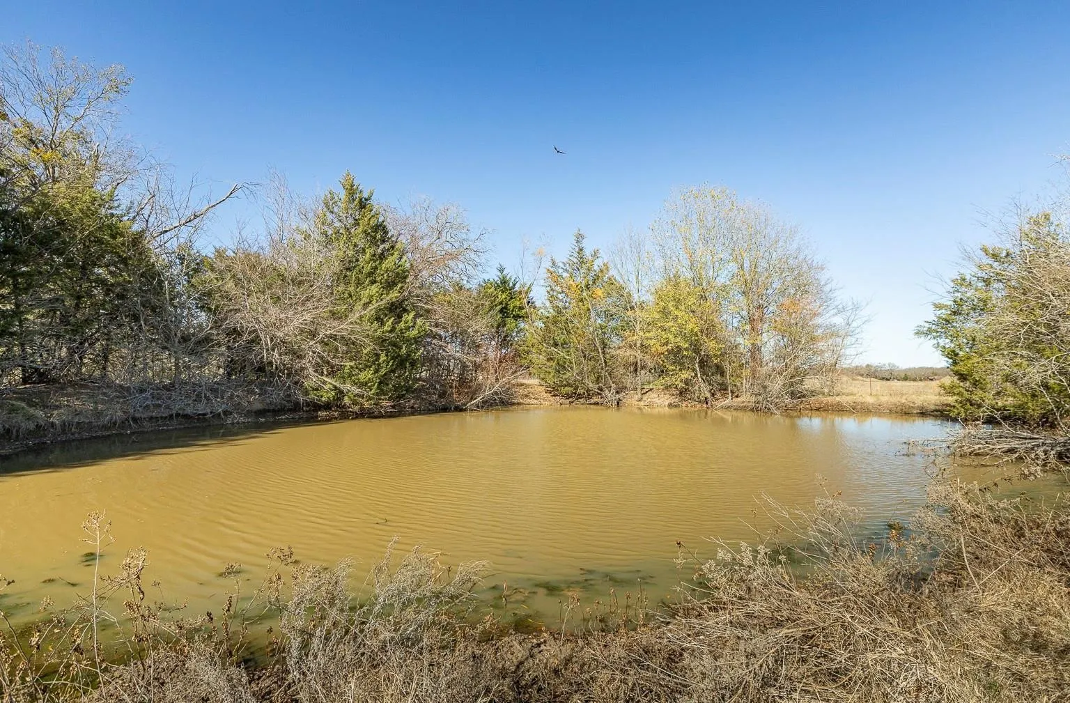 Improved Land For Sale in Kaufman County , 12005 C RD 4078, Scurry, Texas 75158, 0, 0, Garage spaces, 0 Sqft, built in 1965, mls#21378705, Real Estate Agent in Scurry, Homes For Sale in Kaufman county, Homes For Sale in Scurry, Realtor in Scurry Texas, Real Estate Brokerage Independent Realty Texas, Luminita Cordes Realtor
