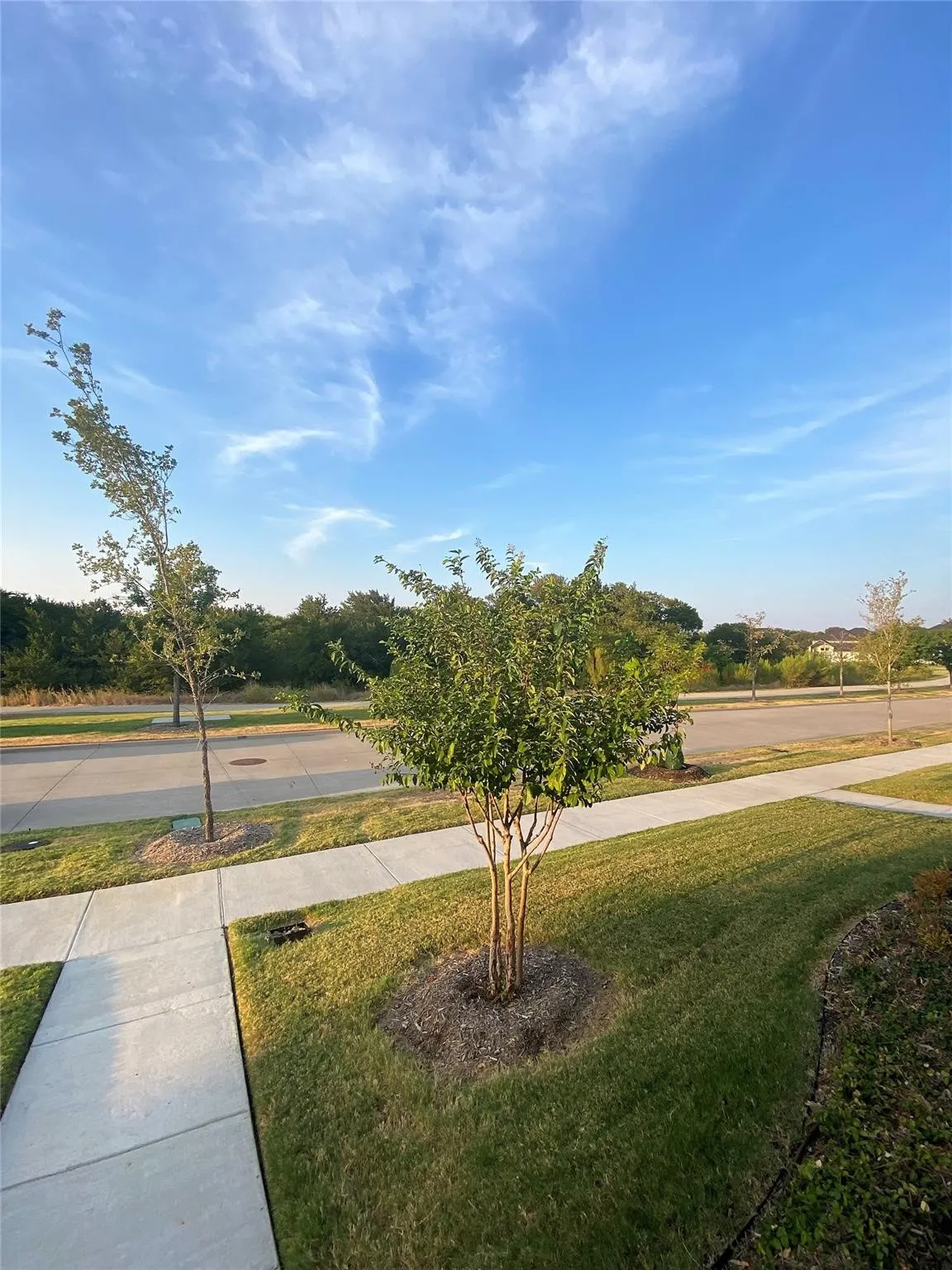 Townhouse For Sale in Collin County , 7297 Sacaton Trail, Frisco, Texas 75033, 3 Bedroom, 3 Bathroom, 2 Garage spaces, 2,185 Sqft, built in 2021, mls#21378668, Real Estate Agent in Frisco, Homes For Sale in Collin county, Homes For Sale in Frisco, Realtor in Frisco Texas, Real Estate Brokerage Independent Realty Texas, Luminita Cordes Realtor