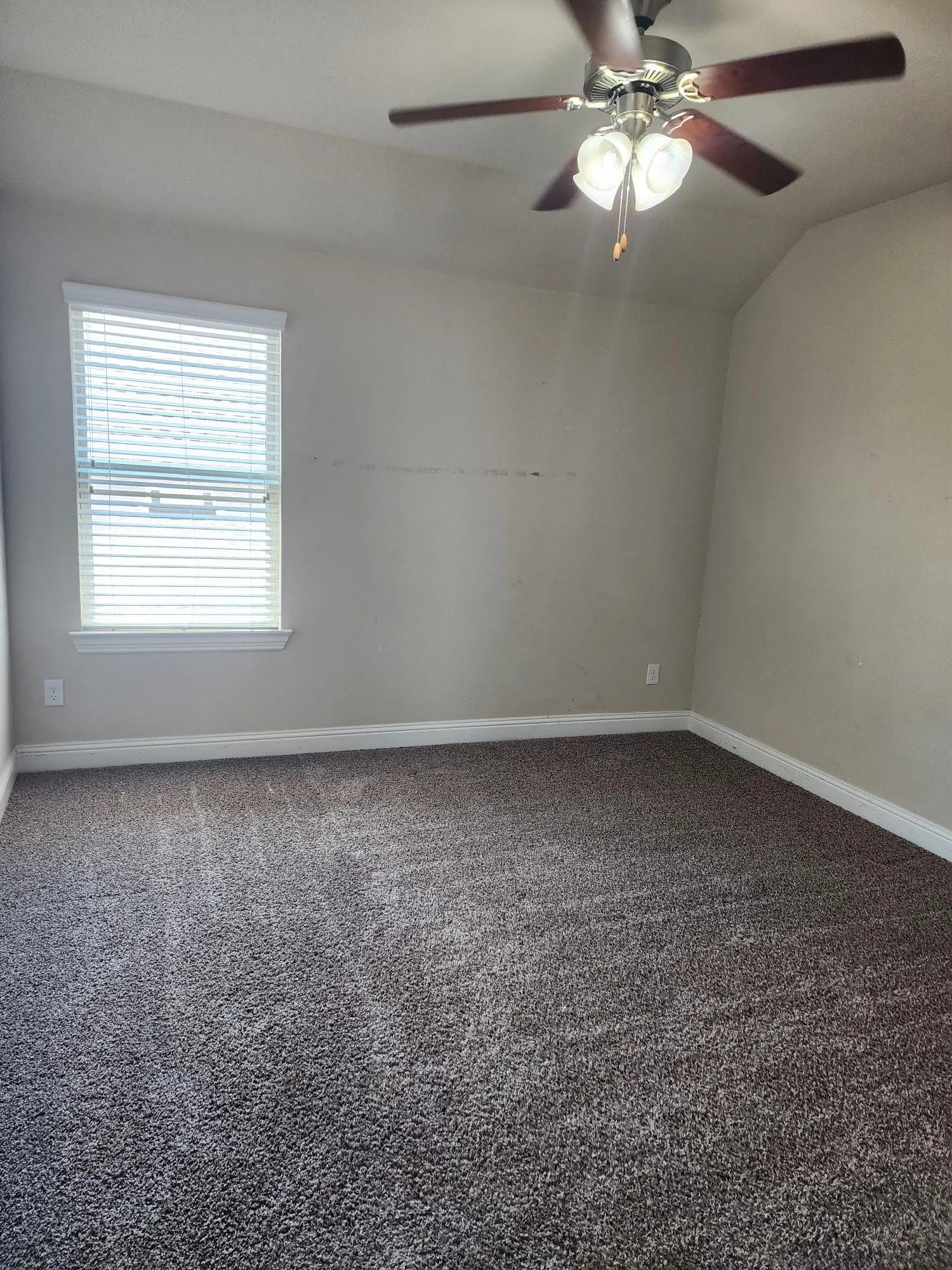 Neutral wall tones, plush gray carpet, and a window with blinds
