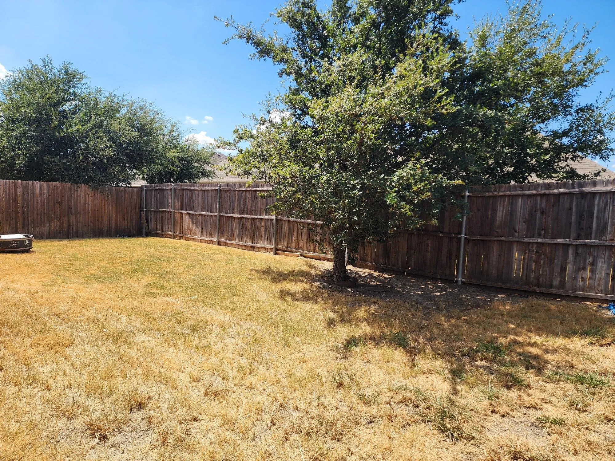 Fenced yard featuring a mature tree