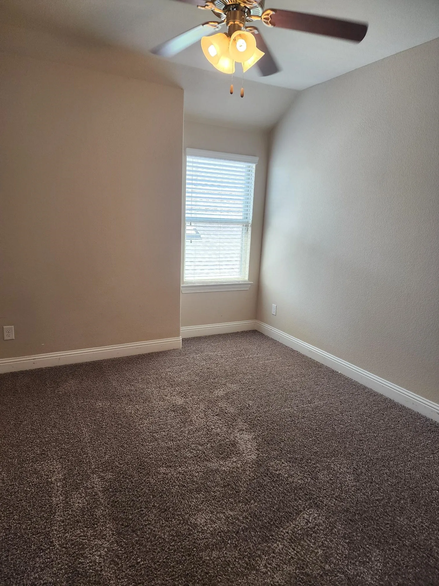 Neutral wall tones, textured carpet, window with blinds, ceiling fan with integrated lighting, and white trim