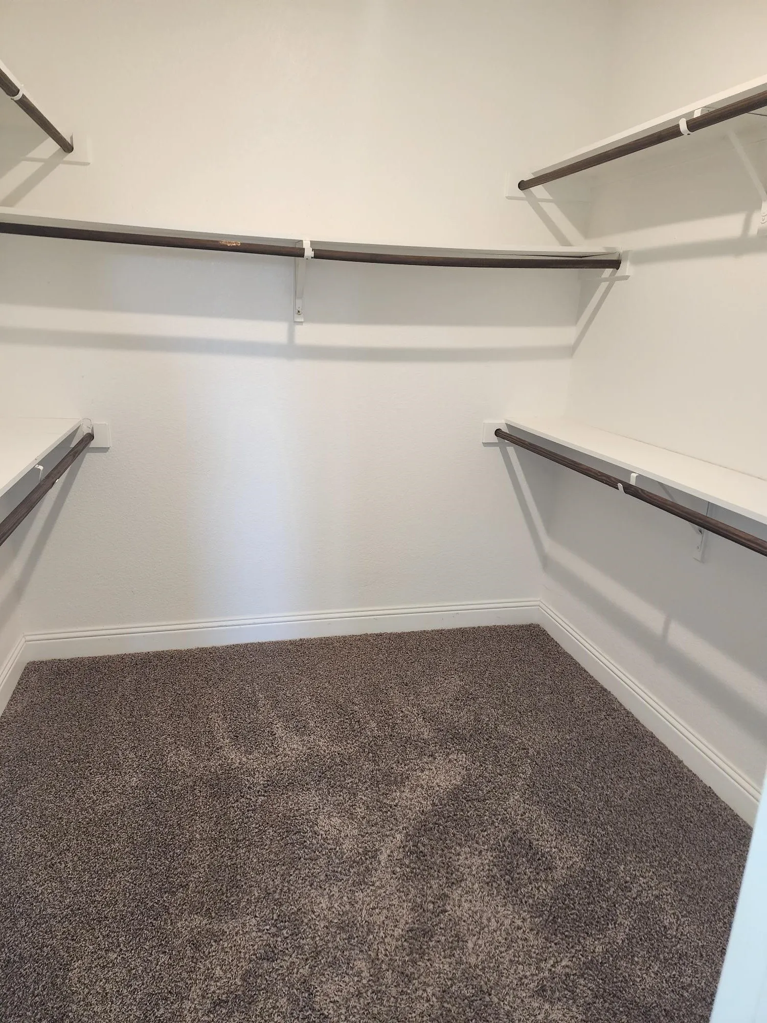 Walk-in closet featuring built-in shelving, hanging rods, and carpet flooring